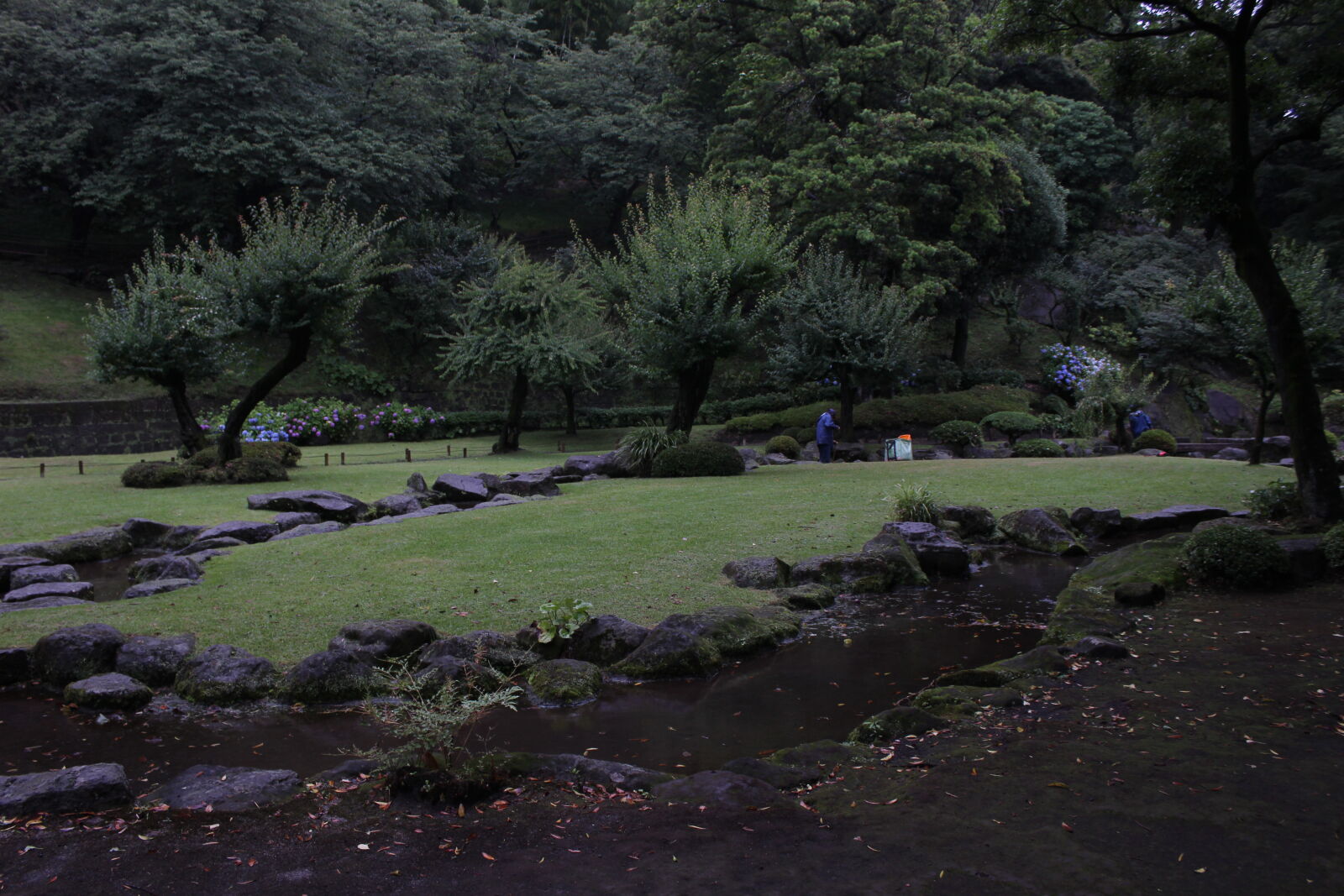 Canon EOS 600D (Rebel EOS T3i / EOS Kiss X5) sample photo. Japanese, garden, sengar, en photography