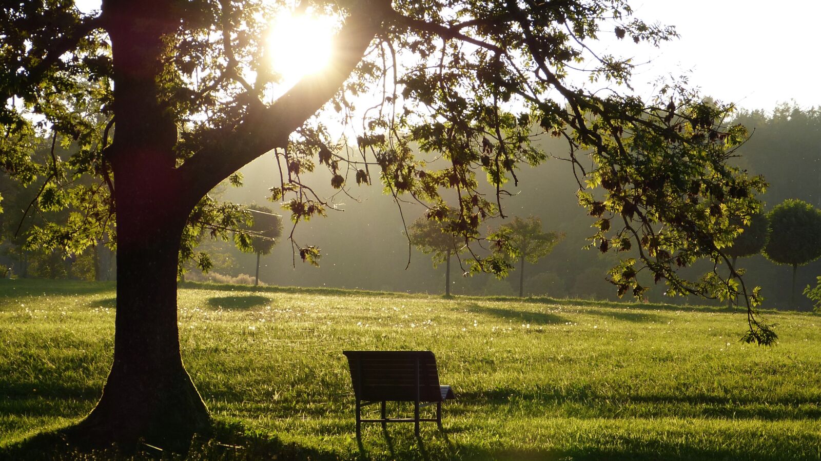 Panasonic Lumix DMC-FZ150 sample photo. Landscape, park, mood photography