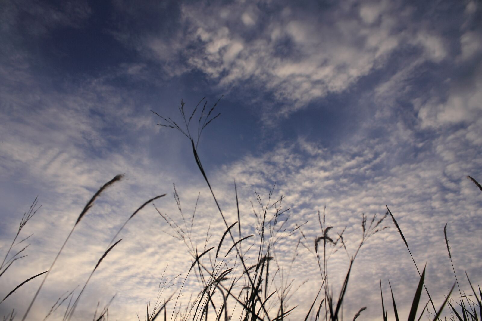 Canon EOS 1100D (EOS Rebel T3 / EOS Kiss X50) sample photo. Sky, landscape, nature photography
