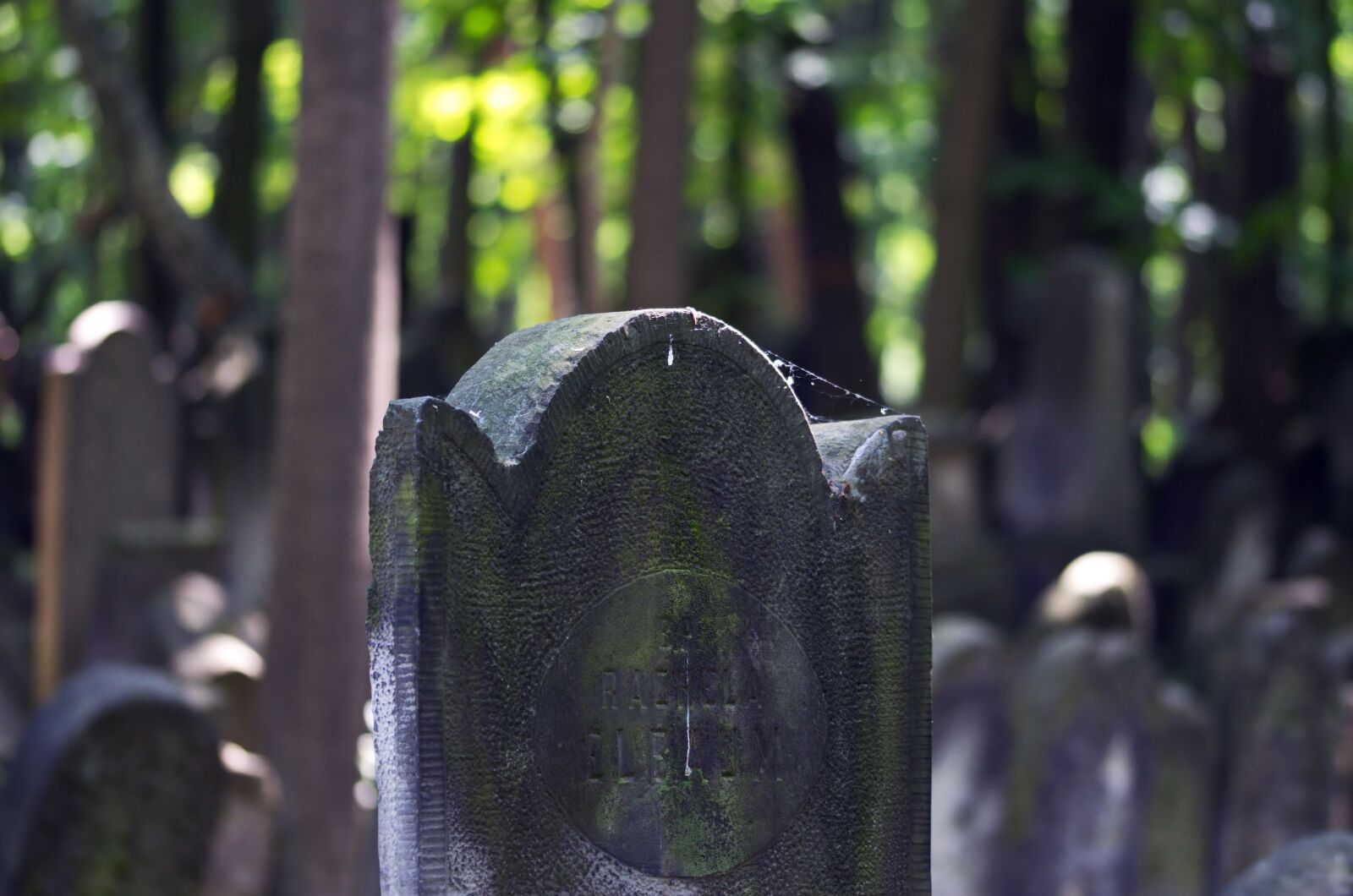 Nikon D5100 sample photo. Cemetery, the jewish, graves photography