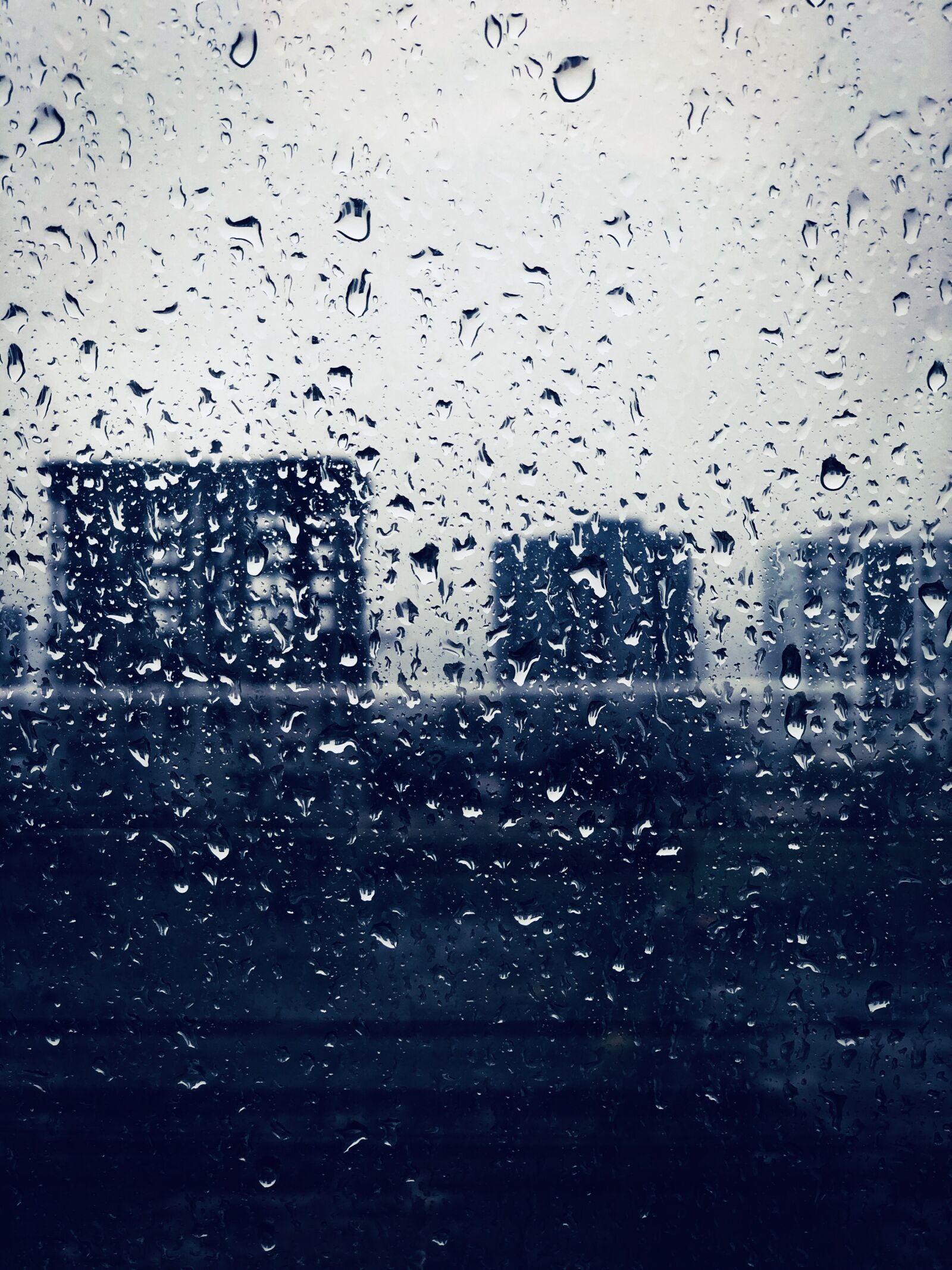 iPhone X back dual camera 6mm f/2.4 sample photo. Rain, landscape, nature photography