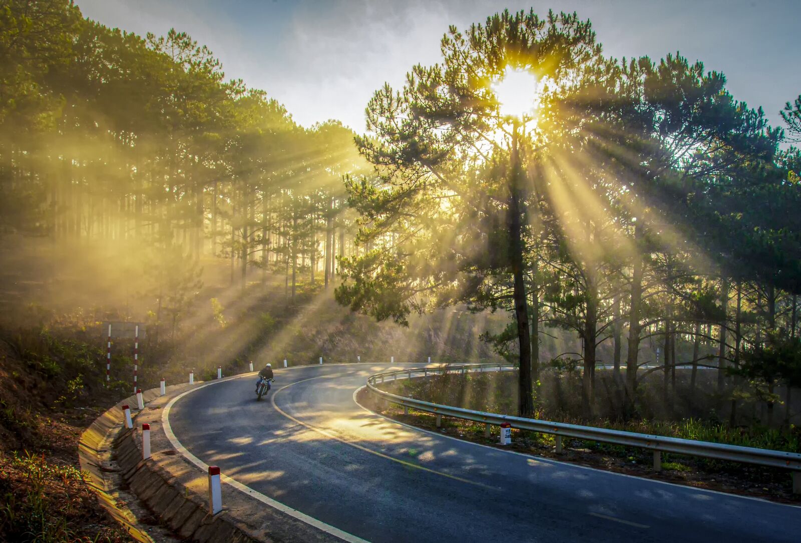 Canon EOS 6D + Canon EF 17-40mm F4L USM sample photo. Sunshine, trees, sun ray photography