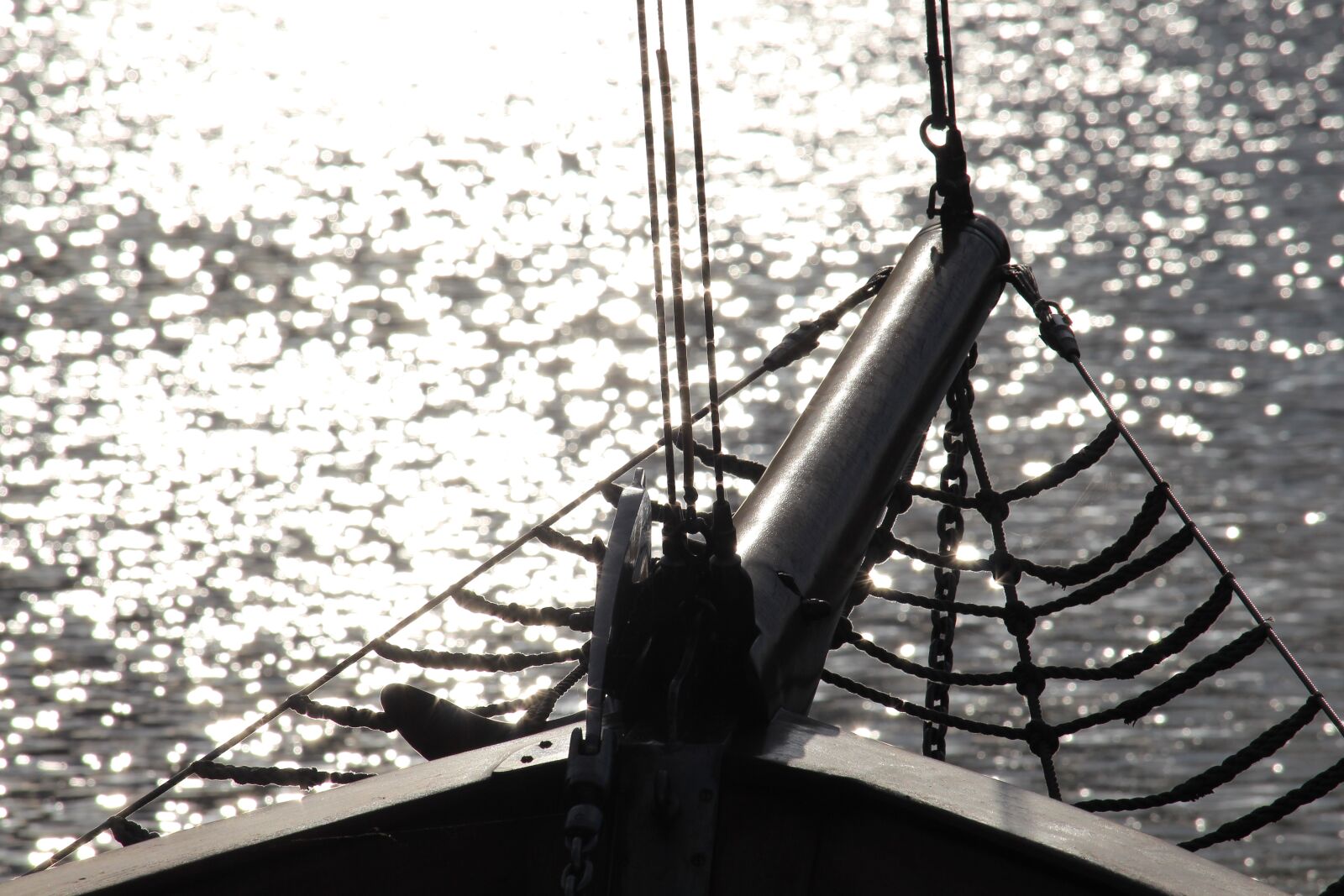 Canon EF-S 55-250mm F4-5.6 IS STM sample photo. Backlighting, jib boom, kl photography