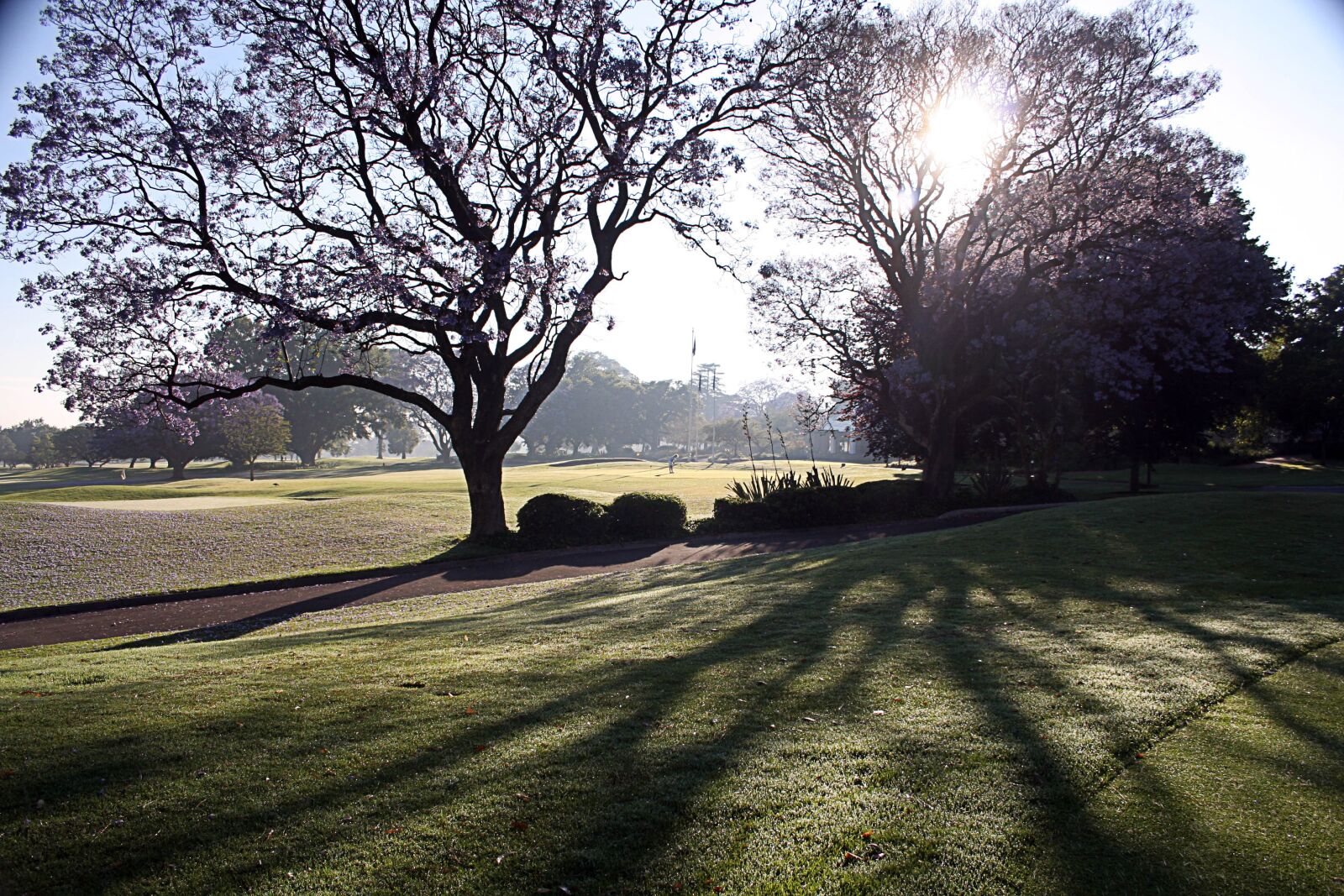 Canon EOS 350D (EOS Digital Rebel XT / EOS Kiss Digital N) sample photo. Golf, shadows, shadow photography
