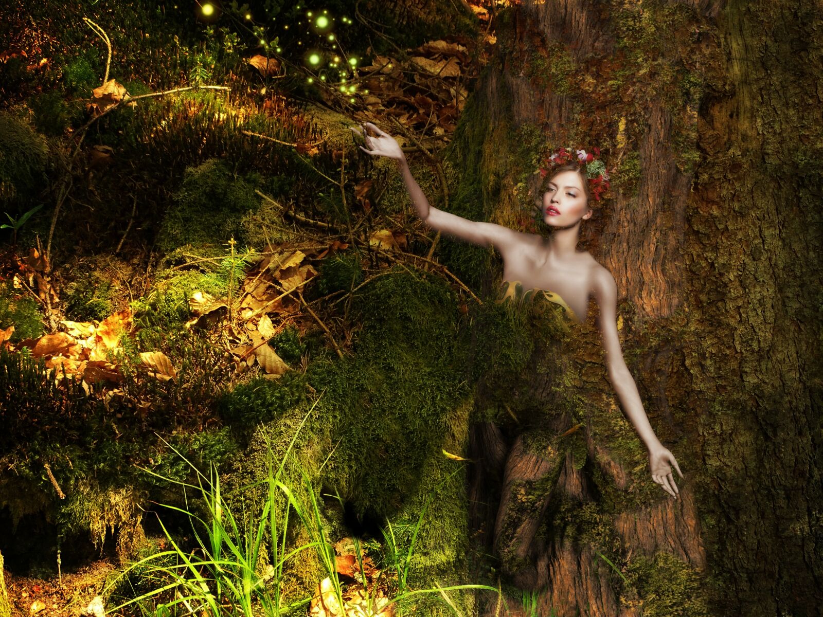 Sony Cyber-shot DSC-HX400V sample photo. Fantasy, forest, fee photography