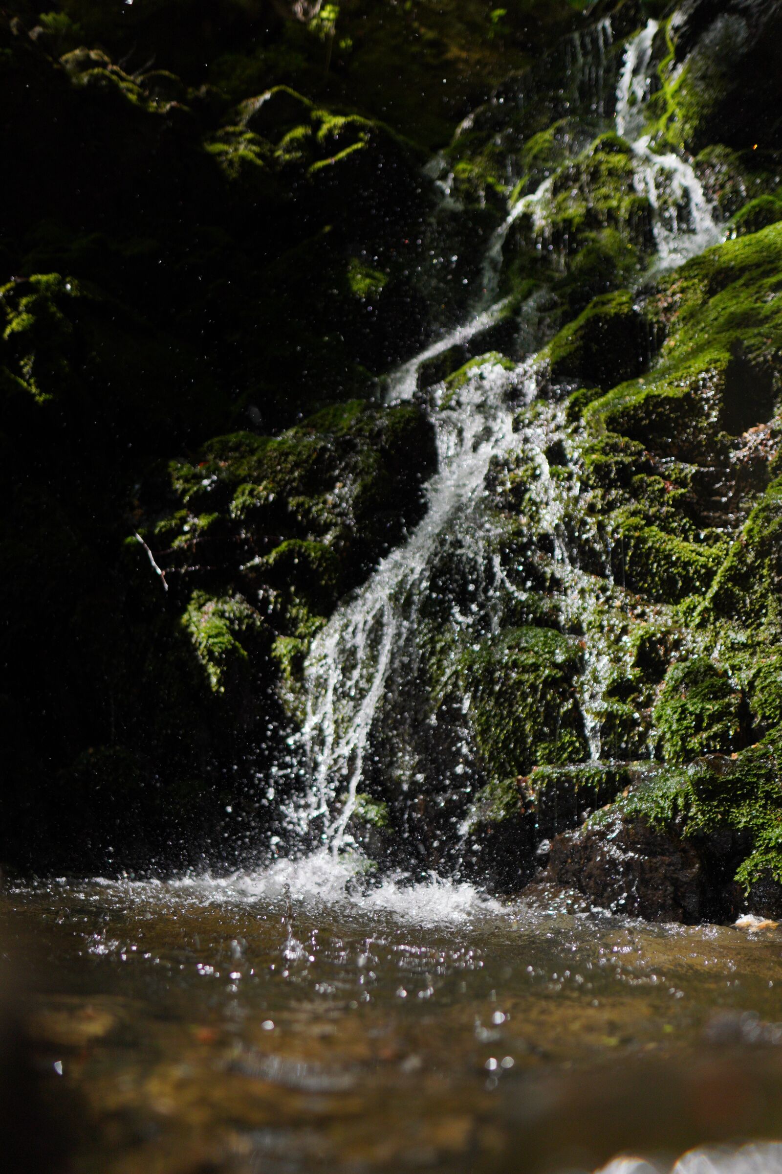 Sony a6400 + Sigma 16mm F1.4 DC DN | C sample photo. Waterfall, forest, river photography