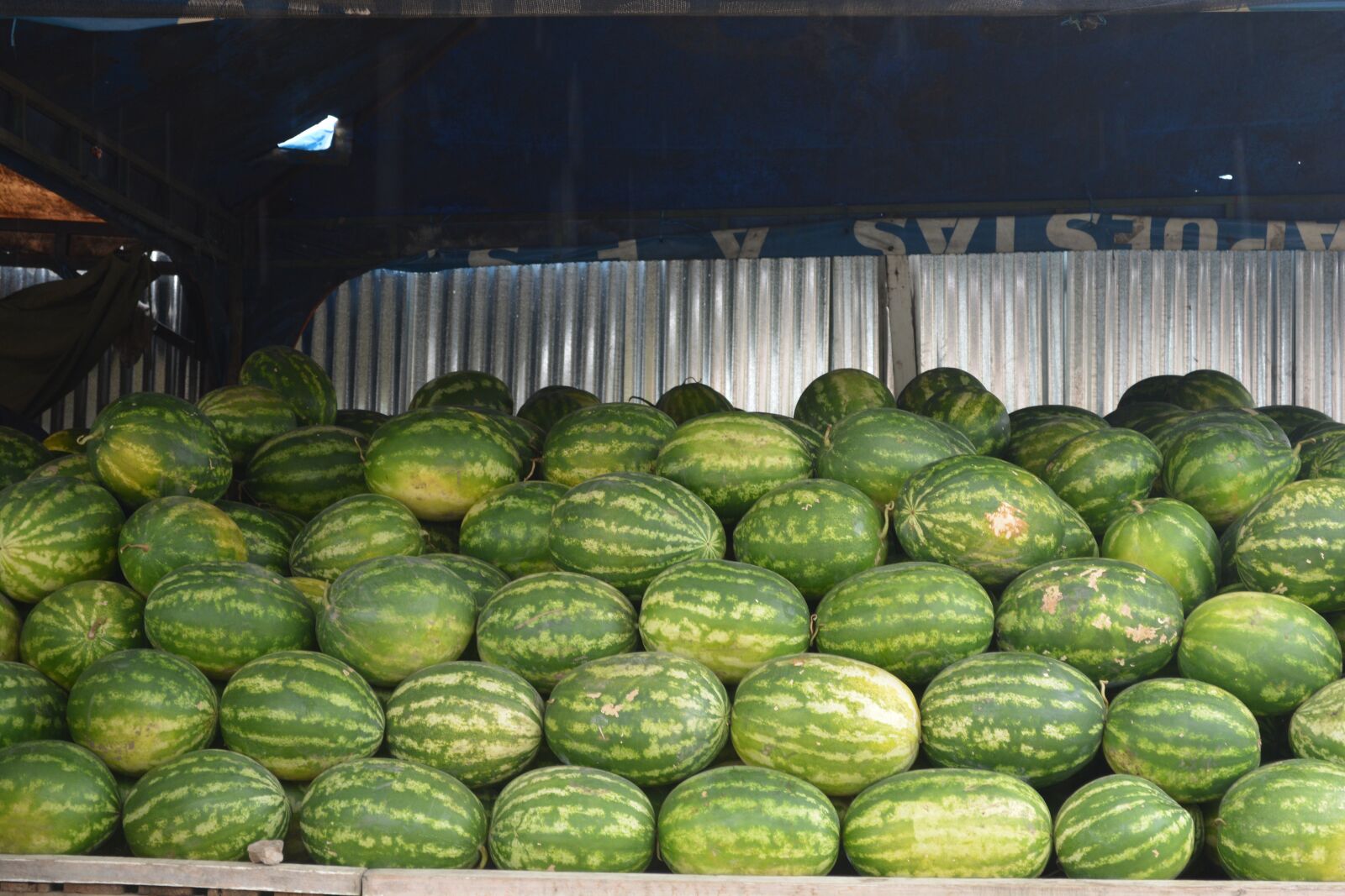 Nikon D5200 sample photo. Watermelon, sandia, food photography