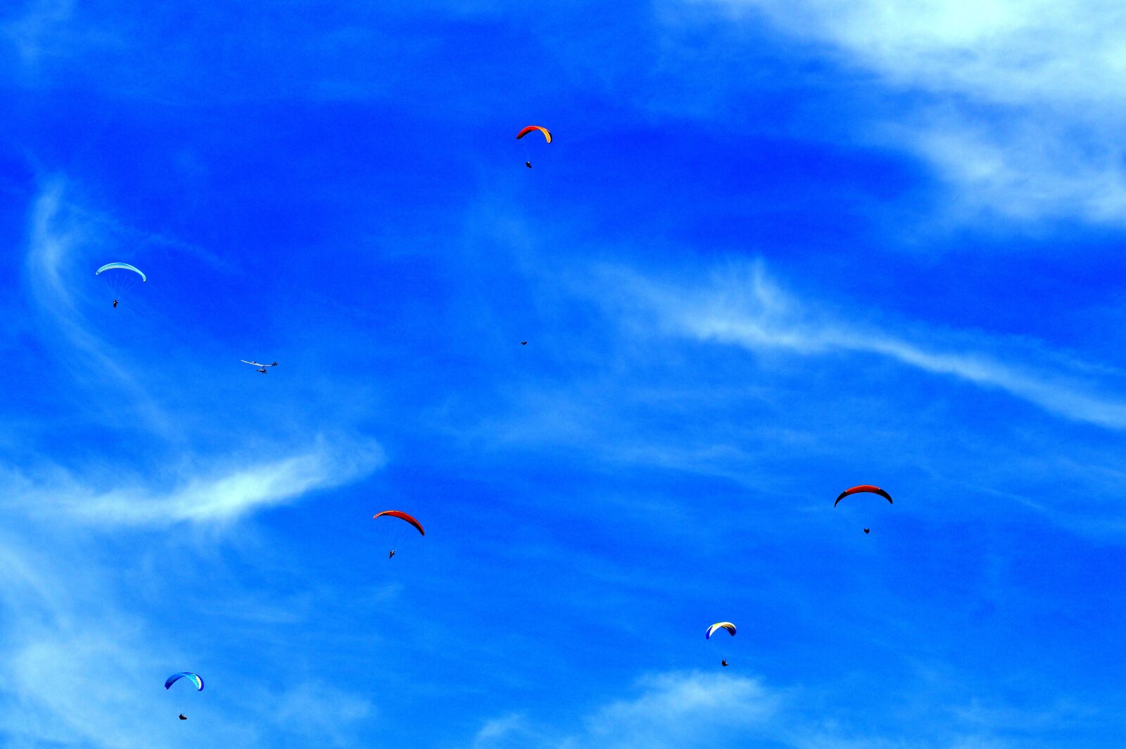 Sony SLT-A58 sample photo. Paraglider, hang glider, hang photography