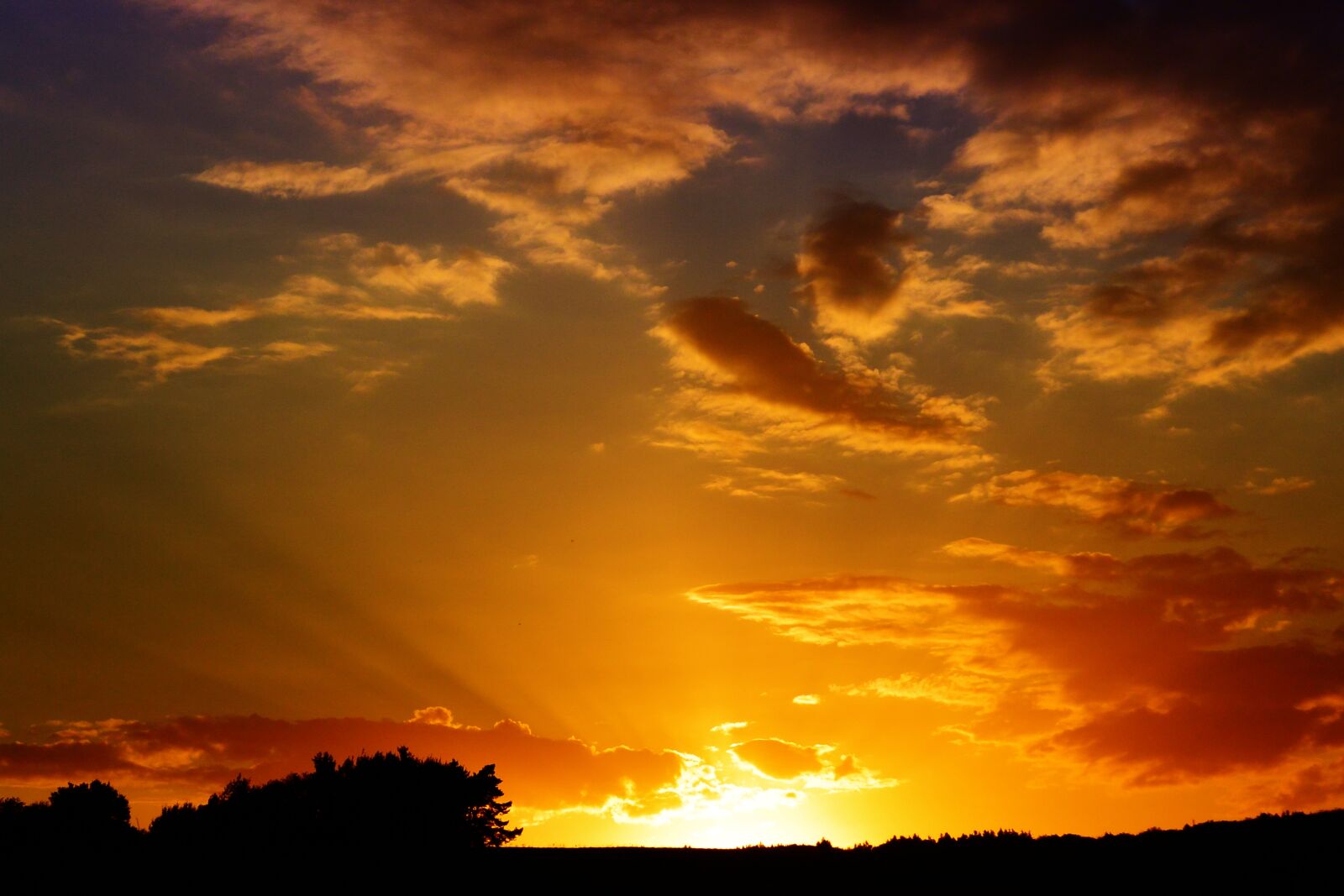 Nikon 1 V2 sample photo. Sunset, sky, clouds photography