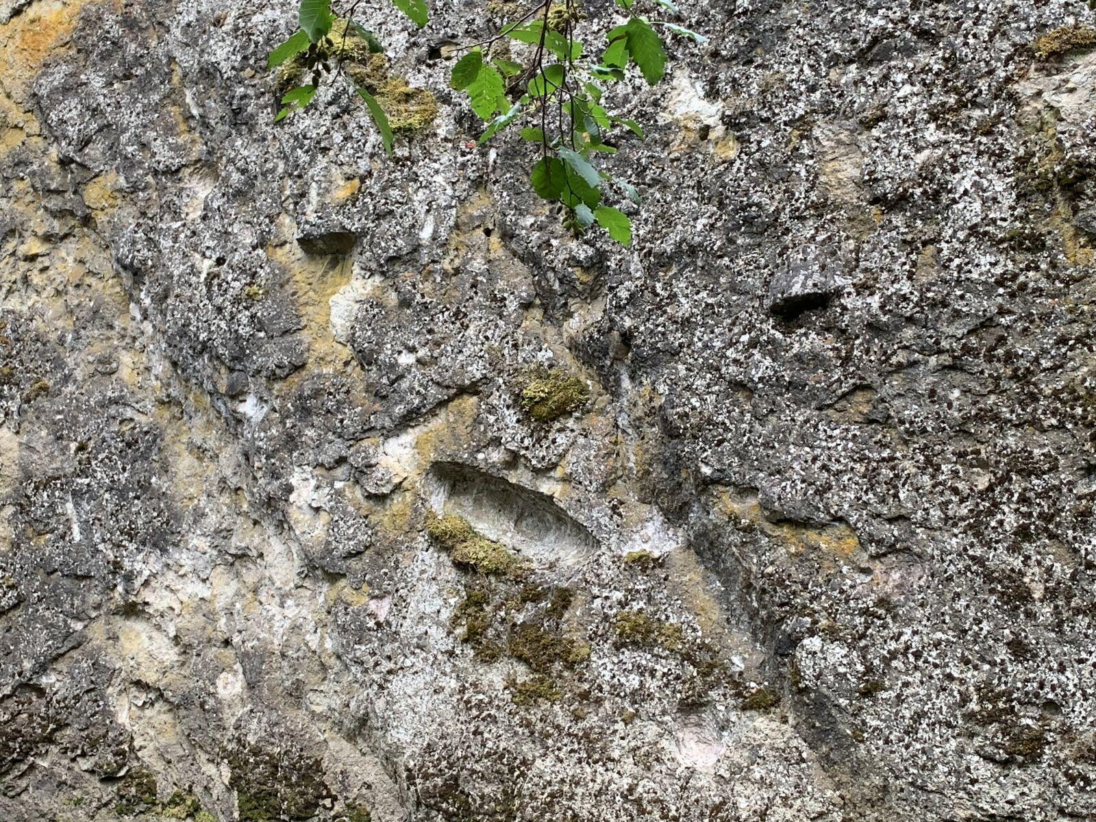 iPhone XR back camera 4.25mm f/1.8 sample photo. Glen canyon, rock wall photography