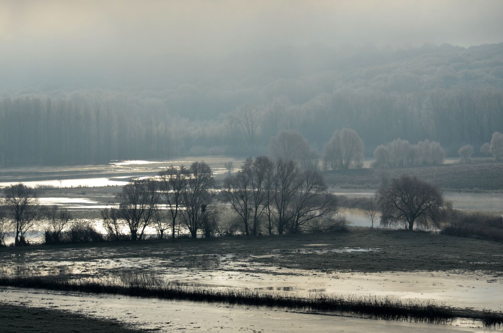 Nikon D5100 sample photo. Flood, winter, landscape photography