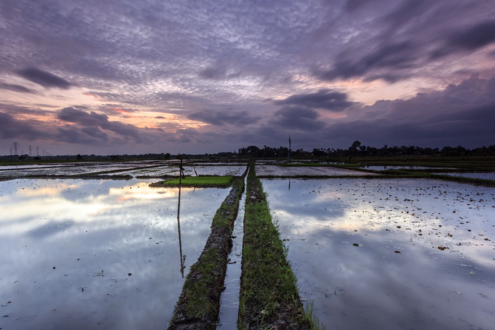 Canon EOS 60D + Canon EF-S 10-22mm F3.5-4.5 USM sample photo. Rice fields, plow, indonesia photography