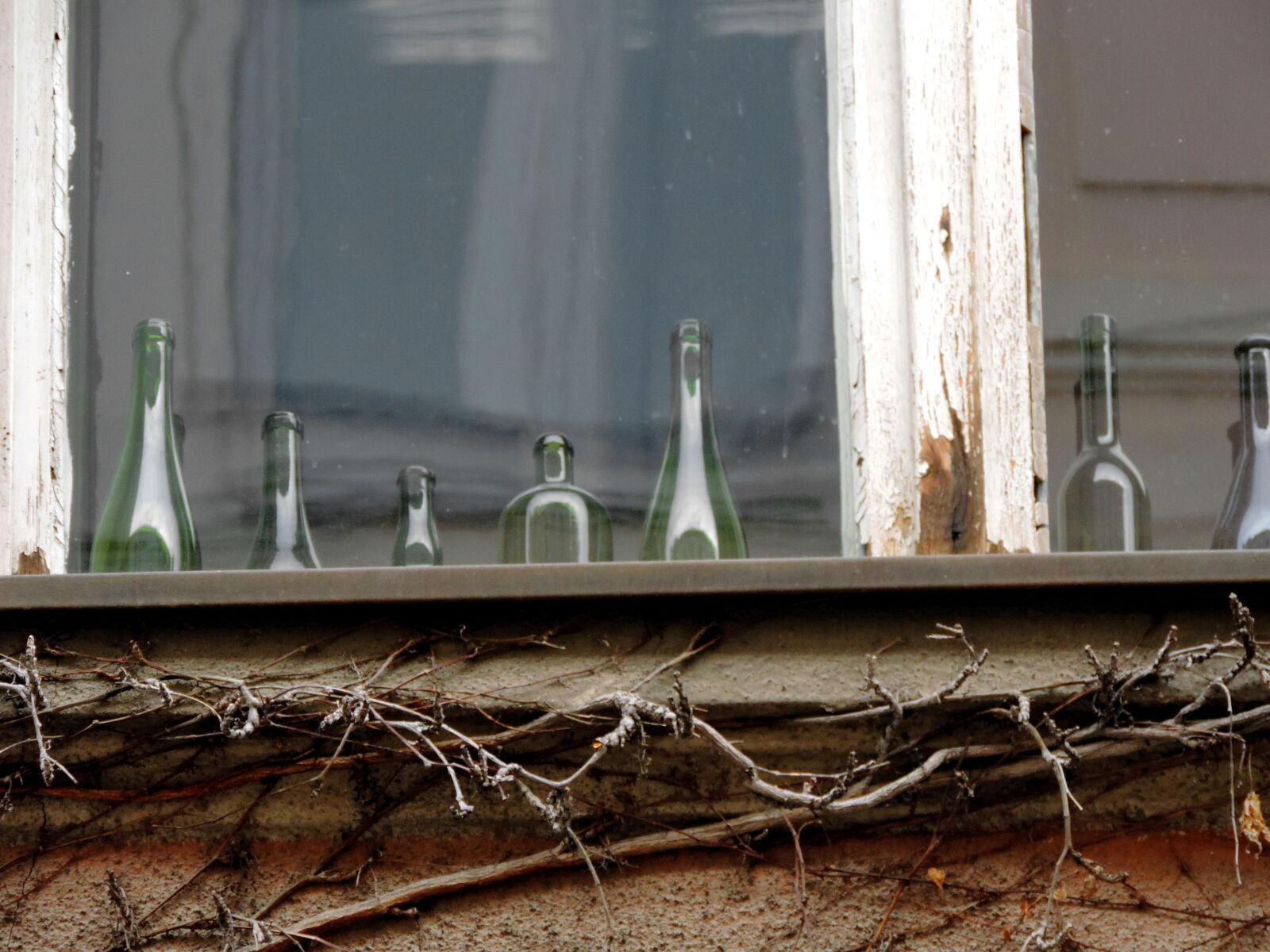 Nikon Coolpix P520 sample photo. Bottle, detail, house, old photography