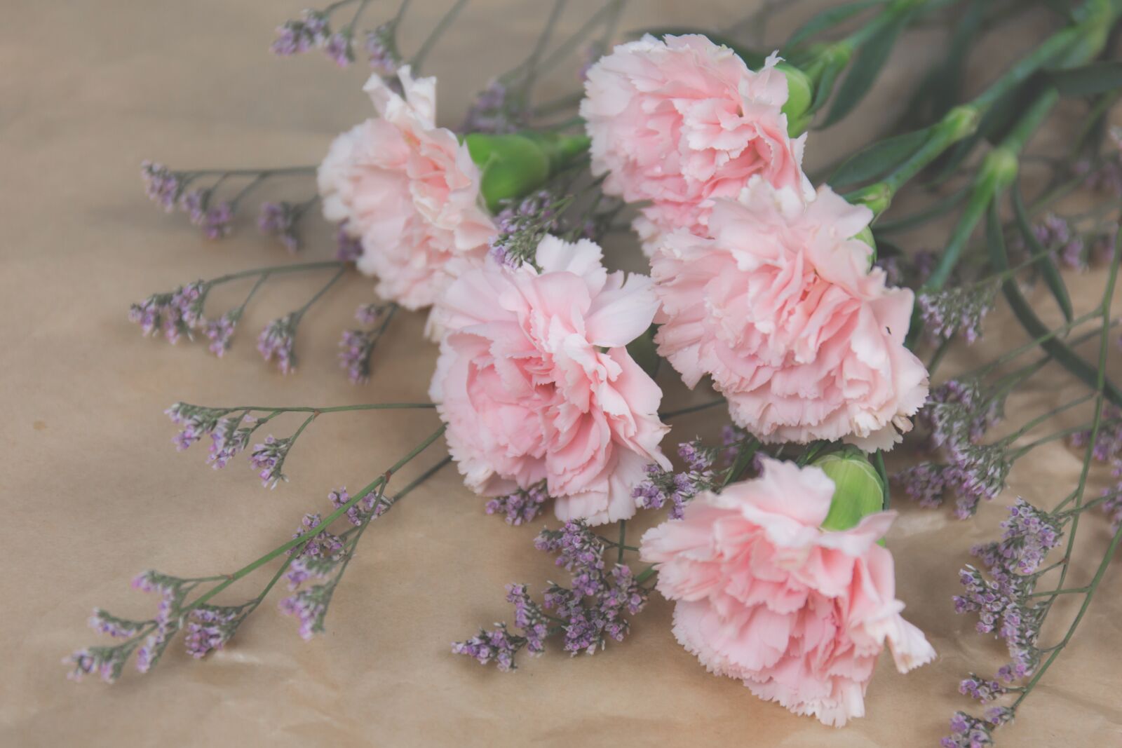 Canon EF 24-70mm F4L IS USM sample photo. Nature, blooms, blossom photography