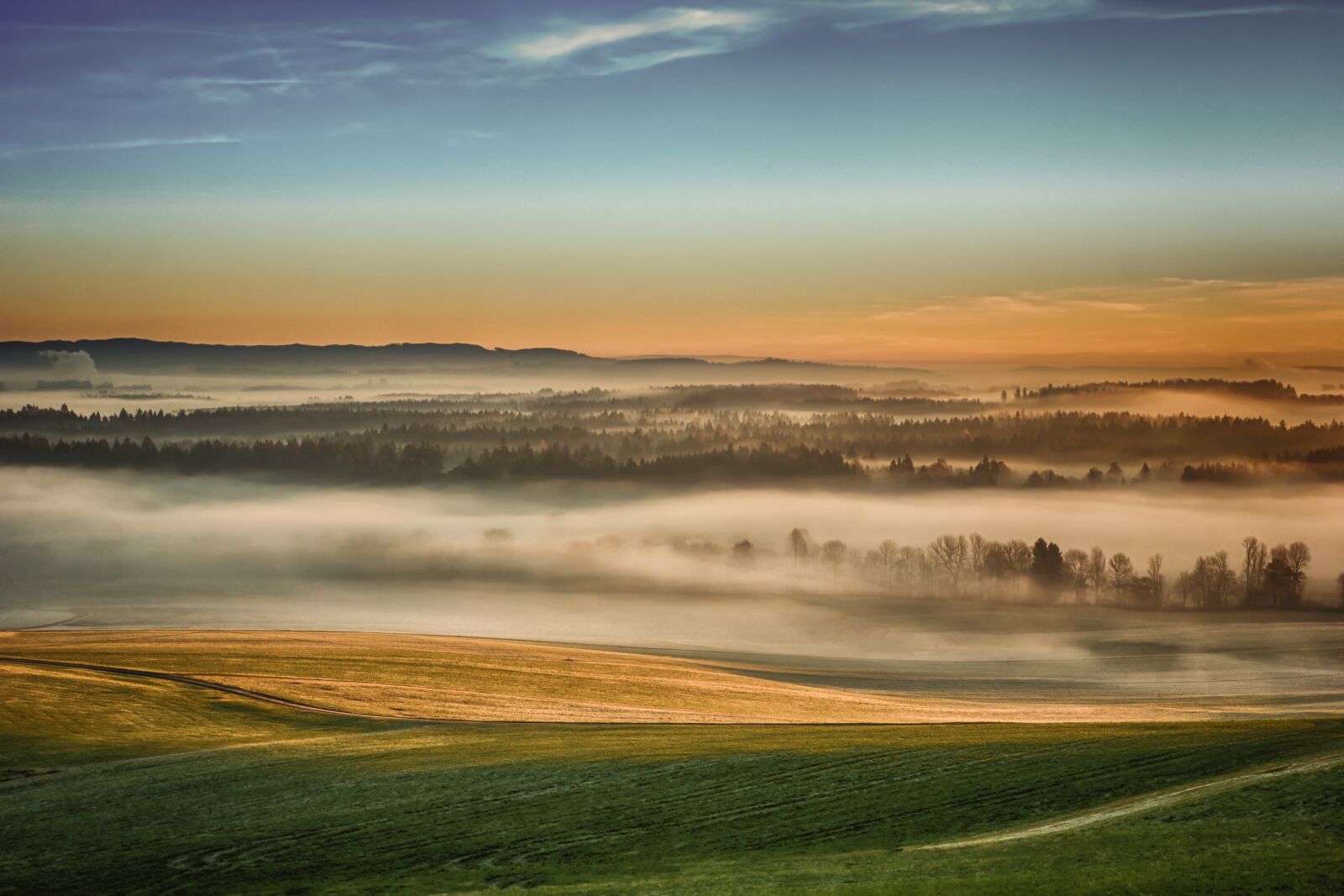 Canon EOS 60D sample photo. Nature, fog, landscape photography