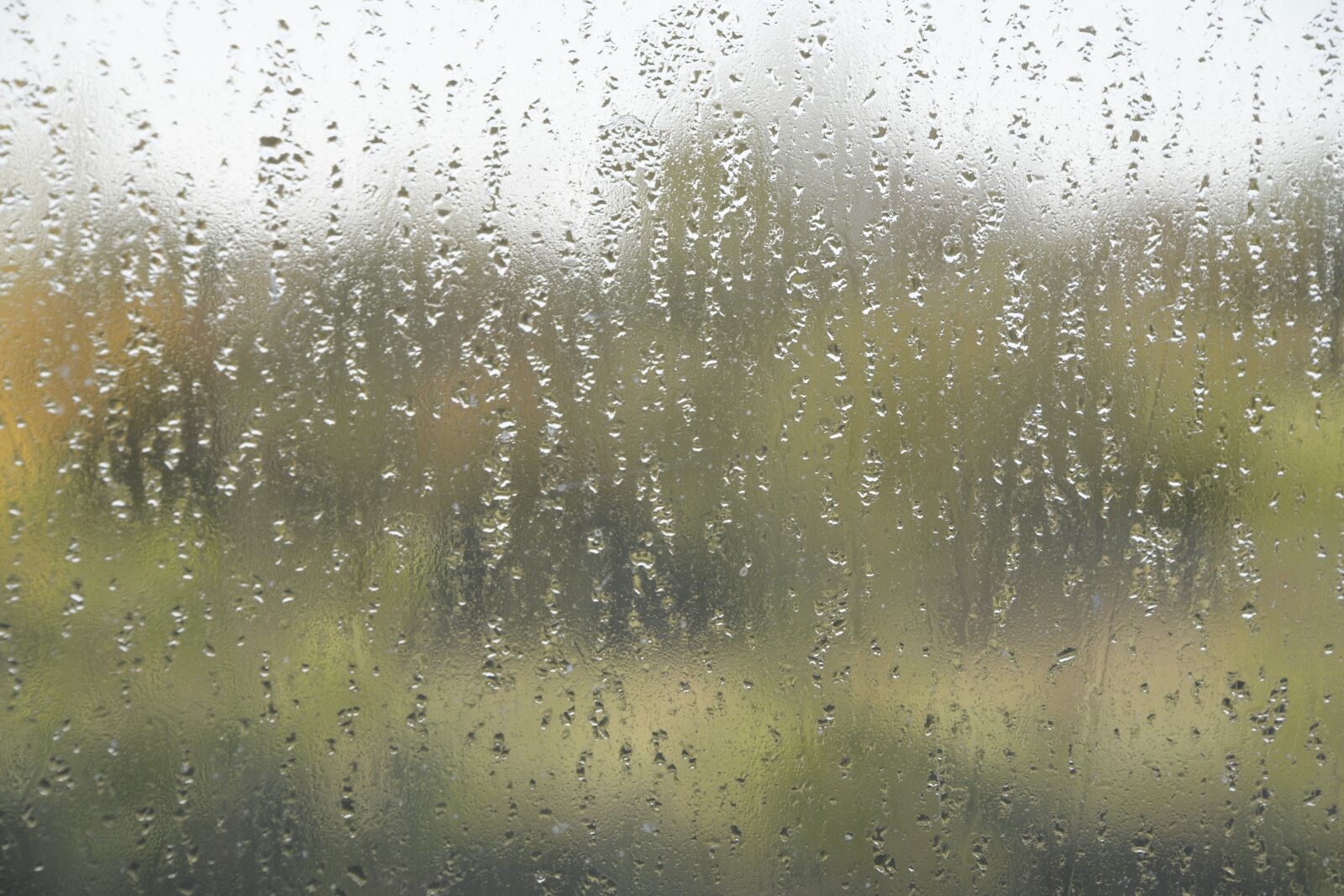 Nikon D850 sample photo. Rain, glass, water photography