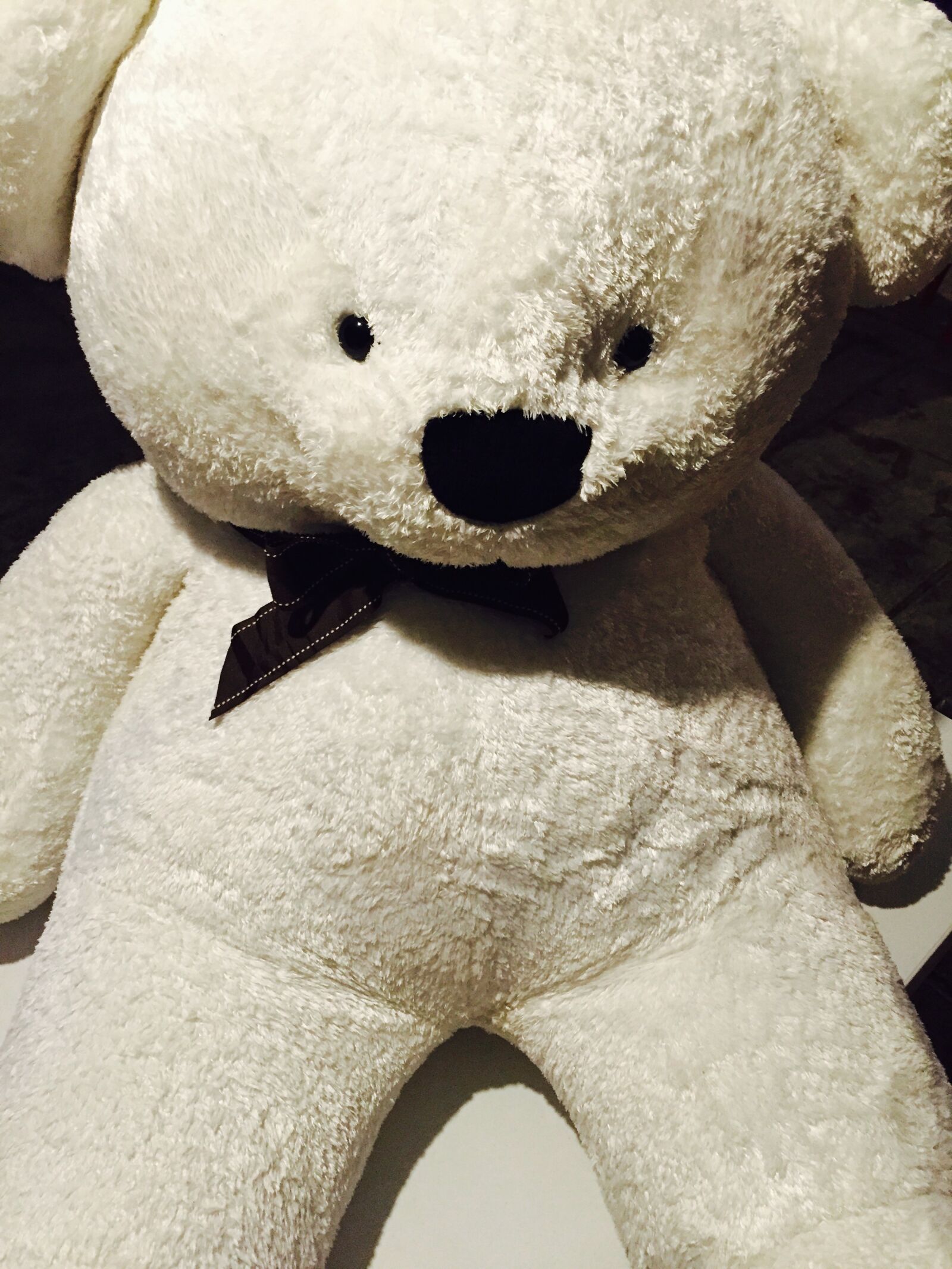 Apple iPhone 6 sample photo. Love, bear, child, teddy photography
