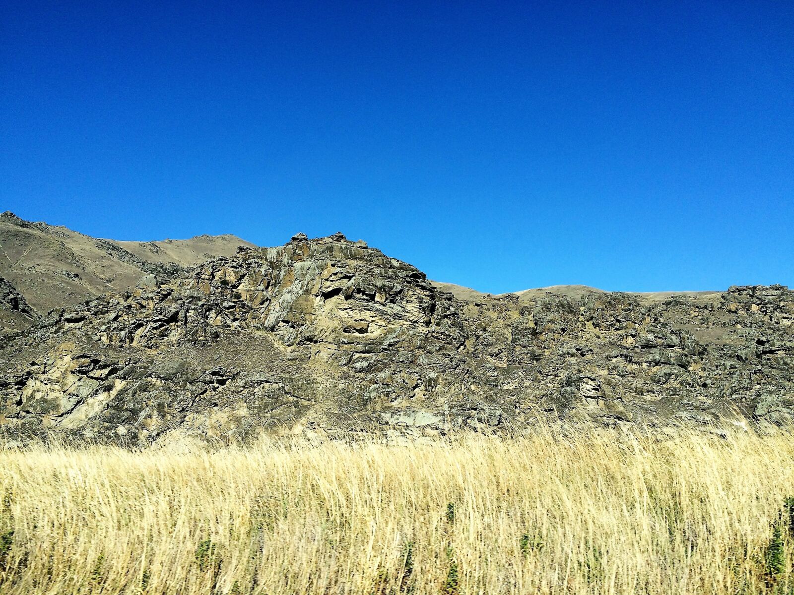 iPhone 5s back camera 4.15mm f/2.2 sample photo. Alpine grass, grass, desert photography