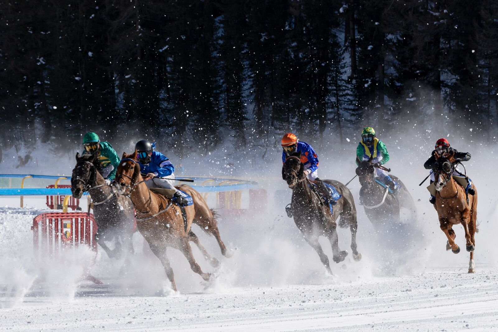 Canon EOS 6D Mark II sample photo. White turf, horse racing photography