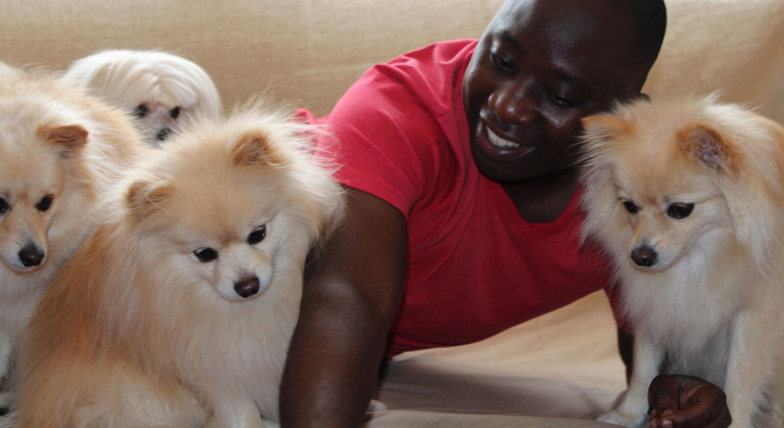 Canon EOS 650D (EOS Rebel T4i / EOS Kiss X6i) sample photo. Dog, man, maltese photography