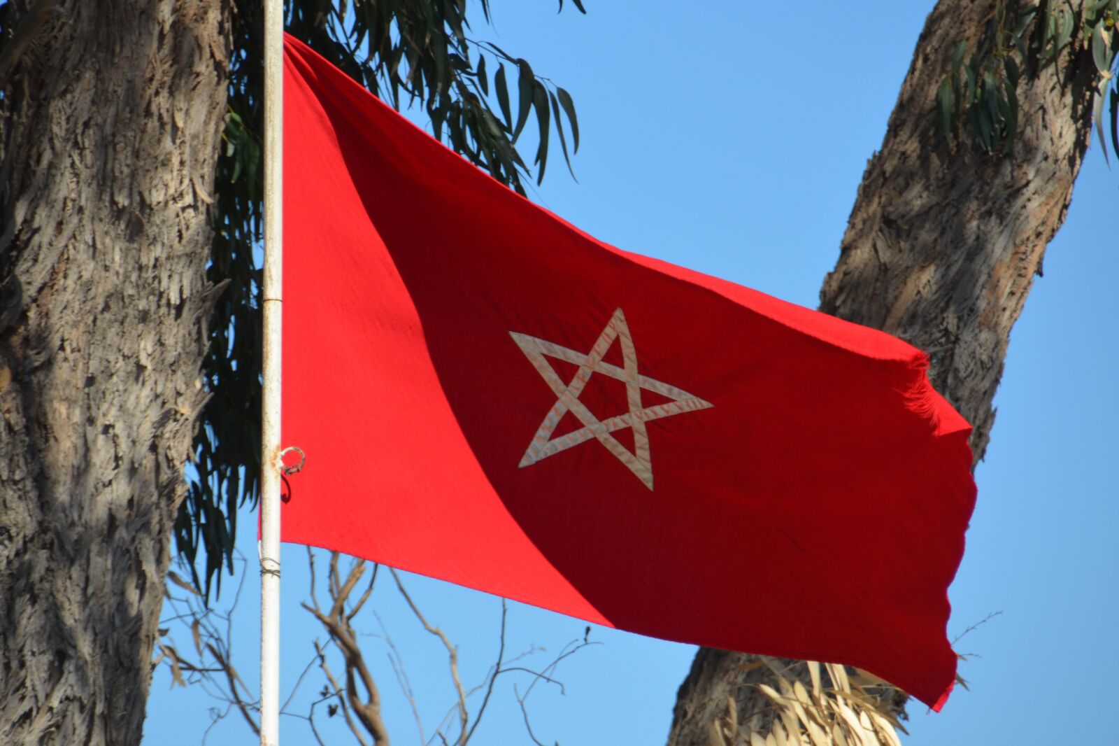 Nikon D5100 sample photo. Flag, morocco, star photography