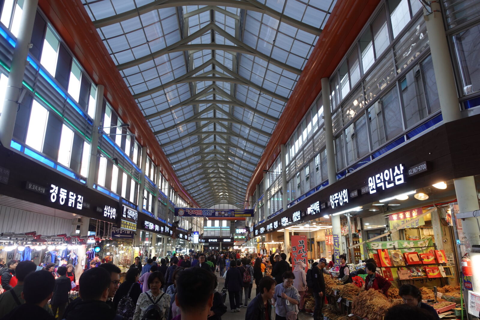 Sony ZV-1 sample photo