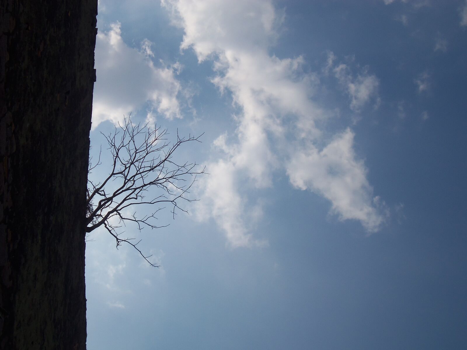 Kodak EASYSHARE CAMERA, M532 sample photo