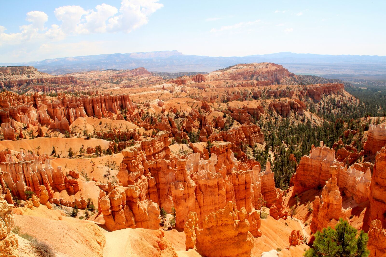Canon EOS 600D (Rebel EOS T3i / EOS Kiss X5) sample photo. United states, canyon, nature photography