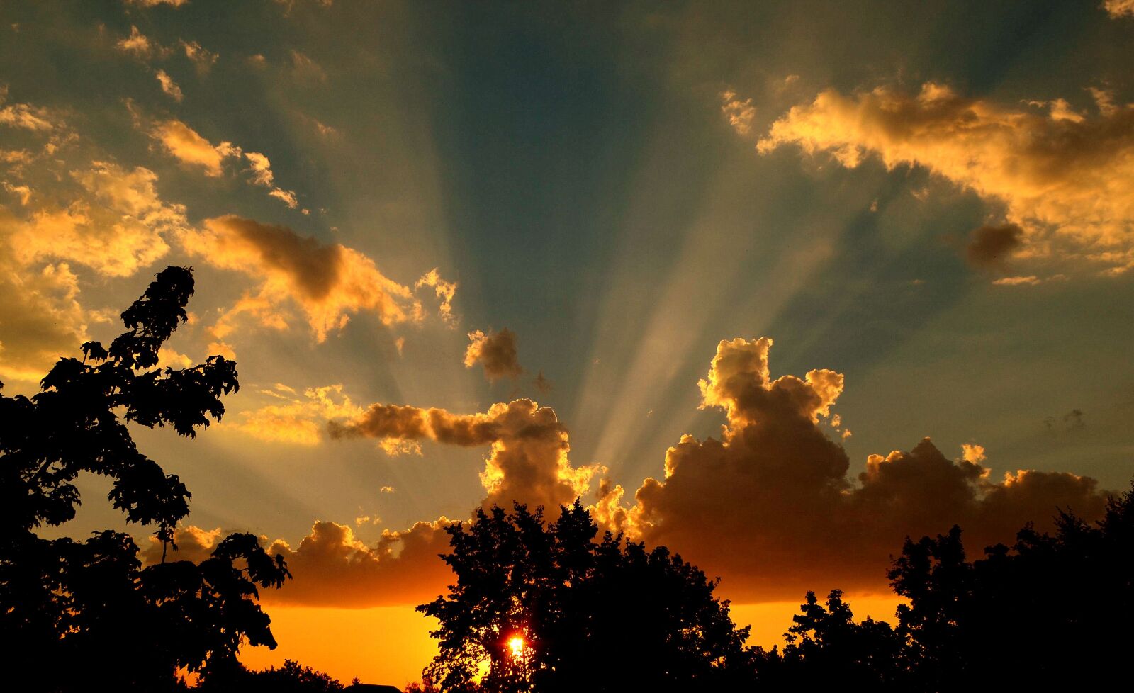 Nikon D5100 sample photo. Sun, setting, sunset photography