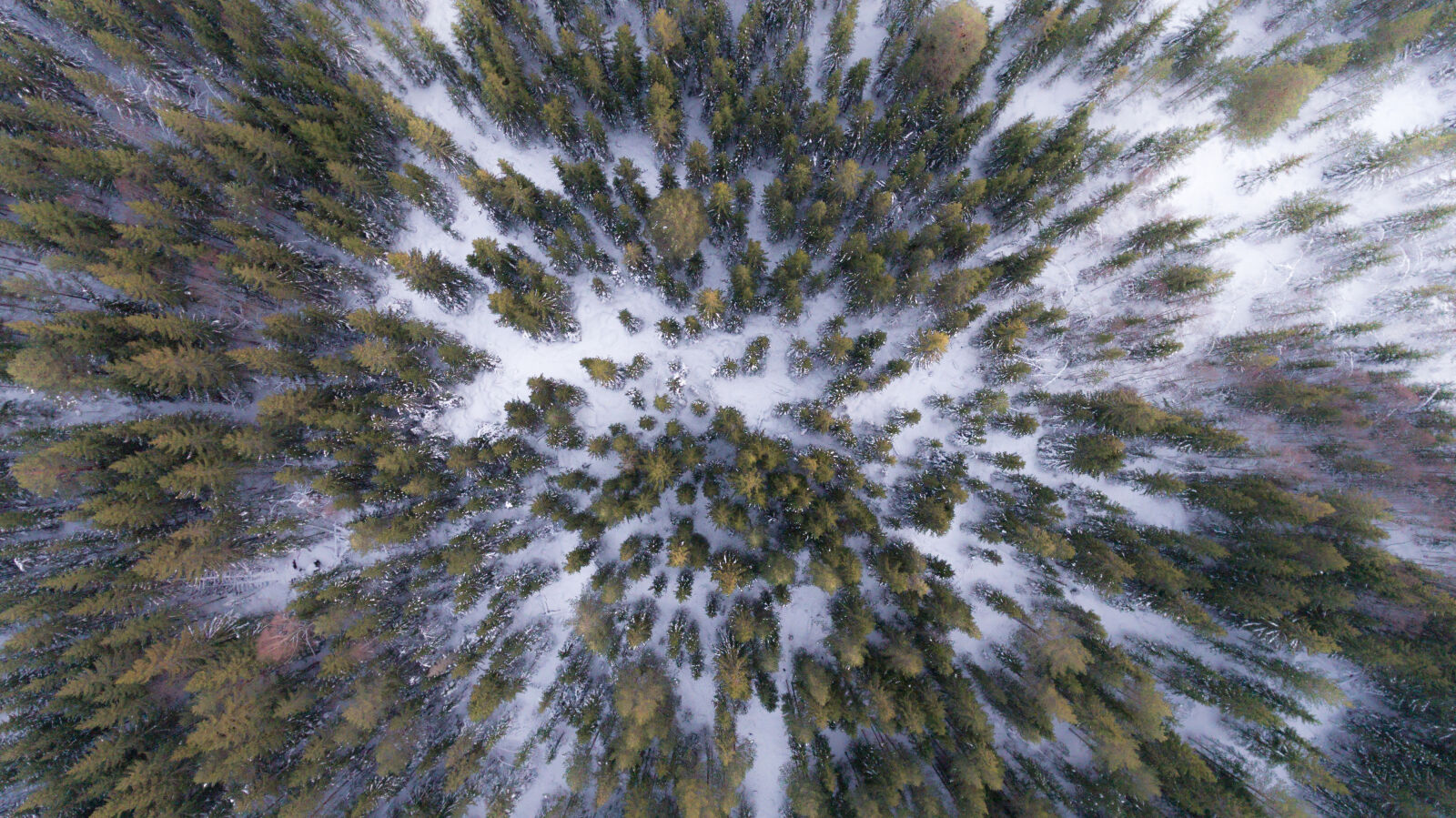 DJI FC330 sample photo. Abstract, art, background, design photography
