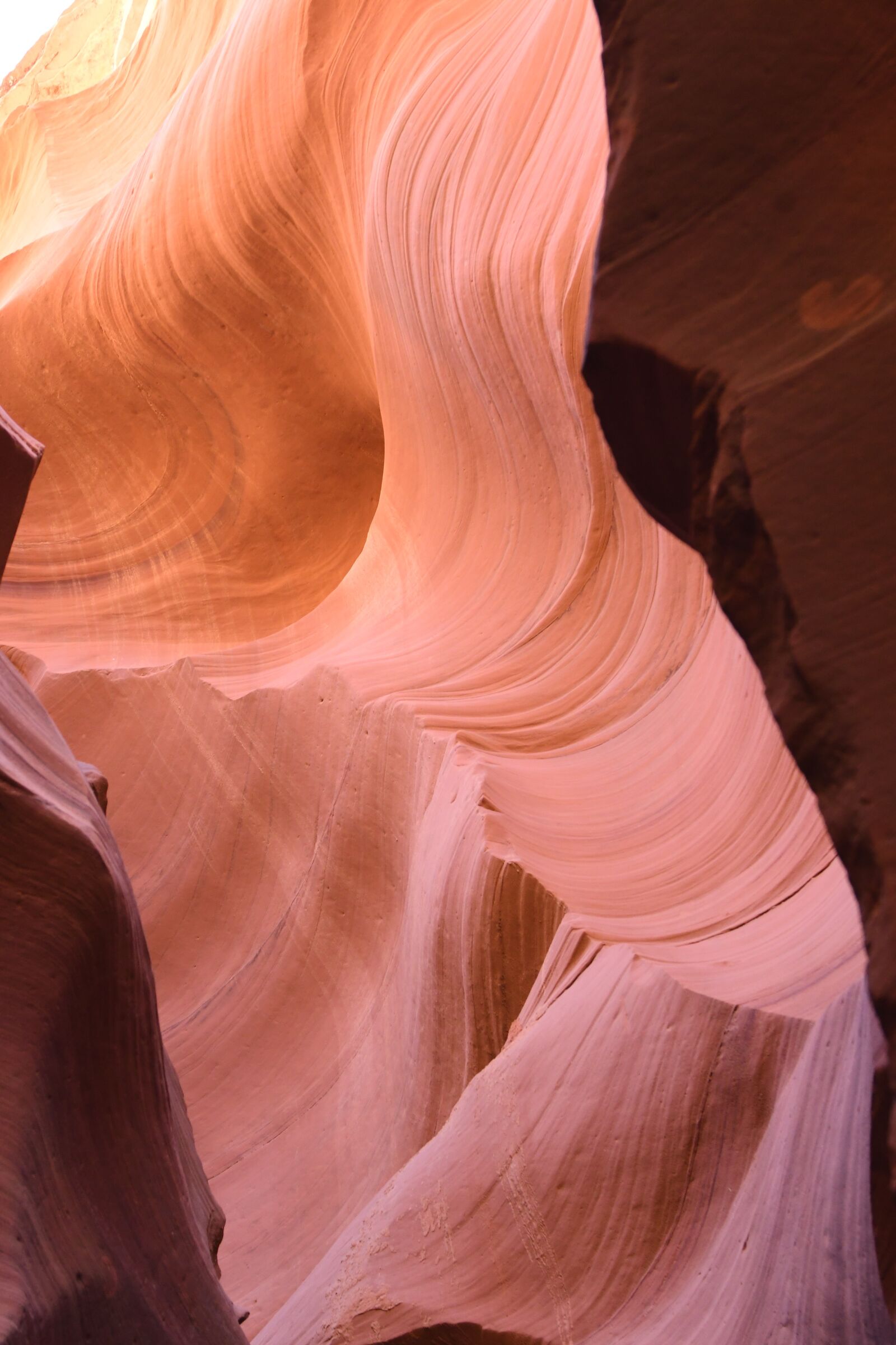 Nikon D500 sample photo. Antelope, waves, canyon photography