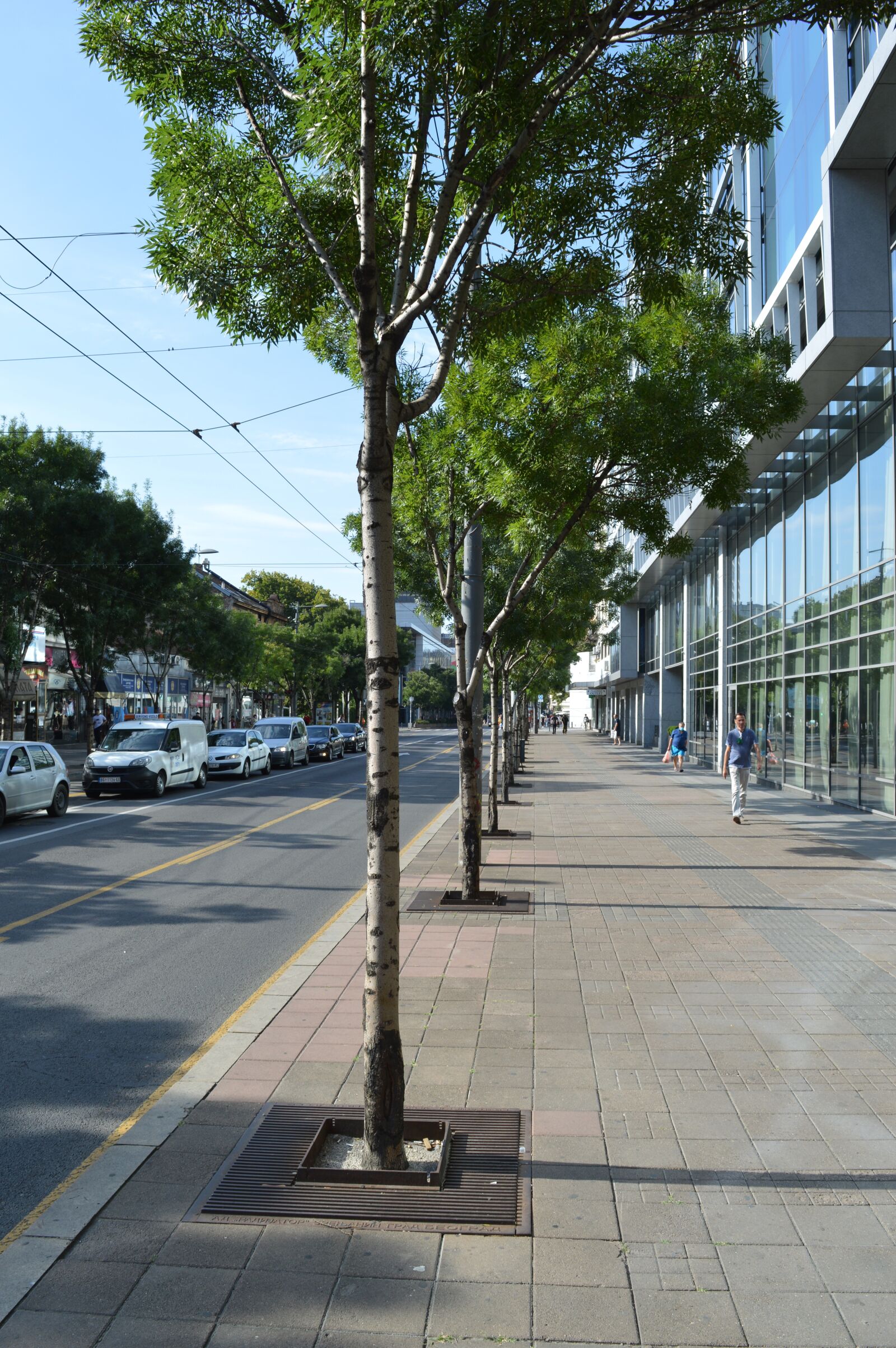 Nikon D3200 sample photo. Street, city, belgrade photography