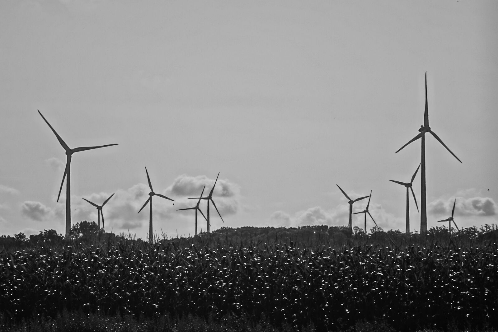 Sony Cyber-shot DSC-TX30 sample photo. Windmills, wind turbine, northern photography
