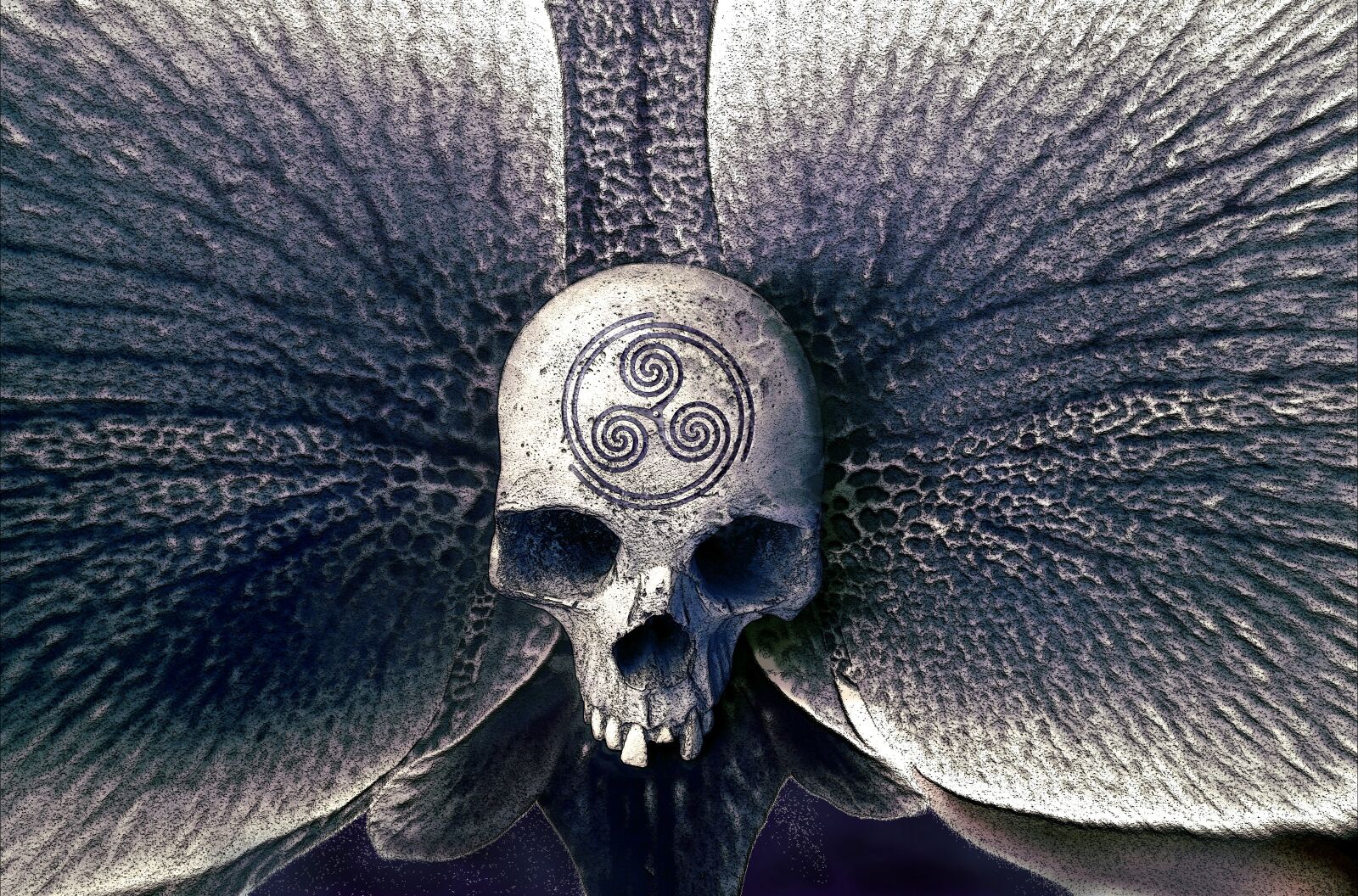 GoPro Hero5 Black sample photo. Skull, orchid, symbol photography
