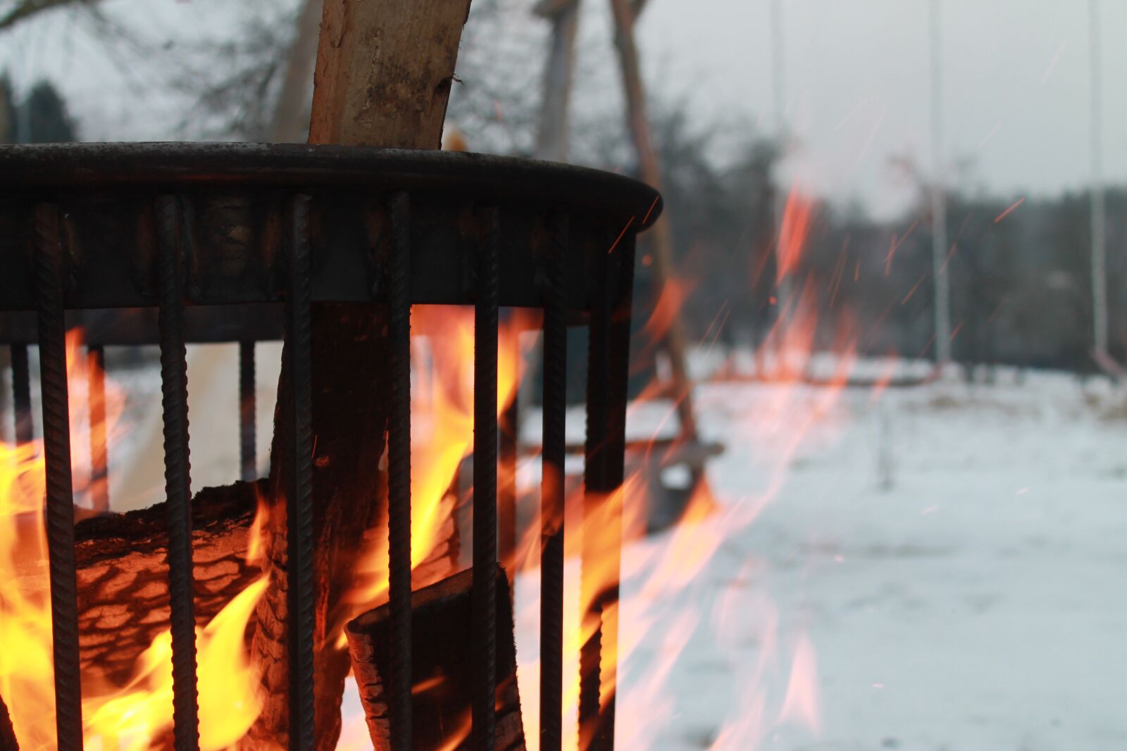 Canon EOS 1100D (EOS Rebel T3 / EOS Kiss X50) sample photo. Fire, fire basket, winter photography