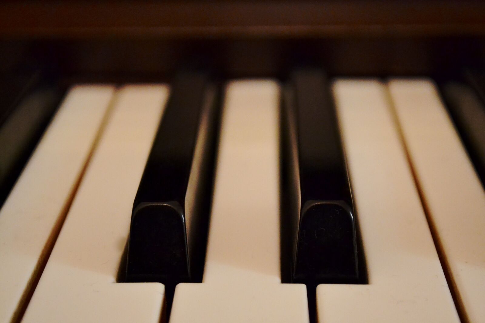 Nikon D3100 sample photo. Blur, music, piano photography