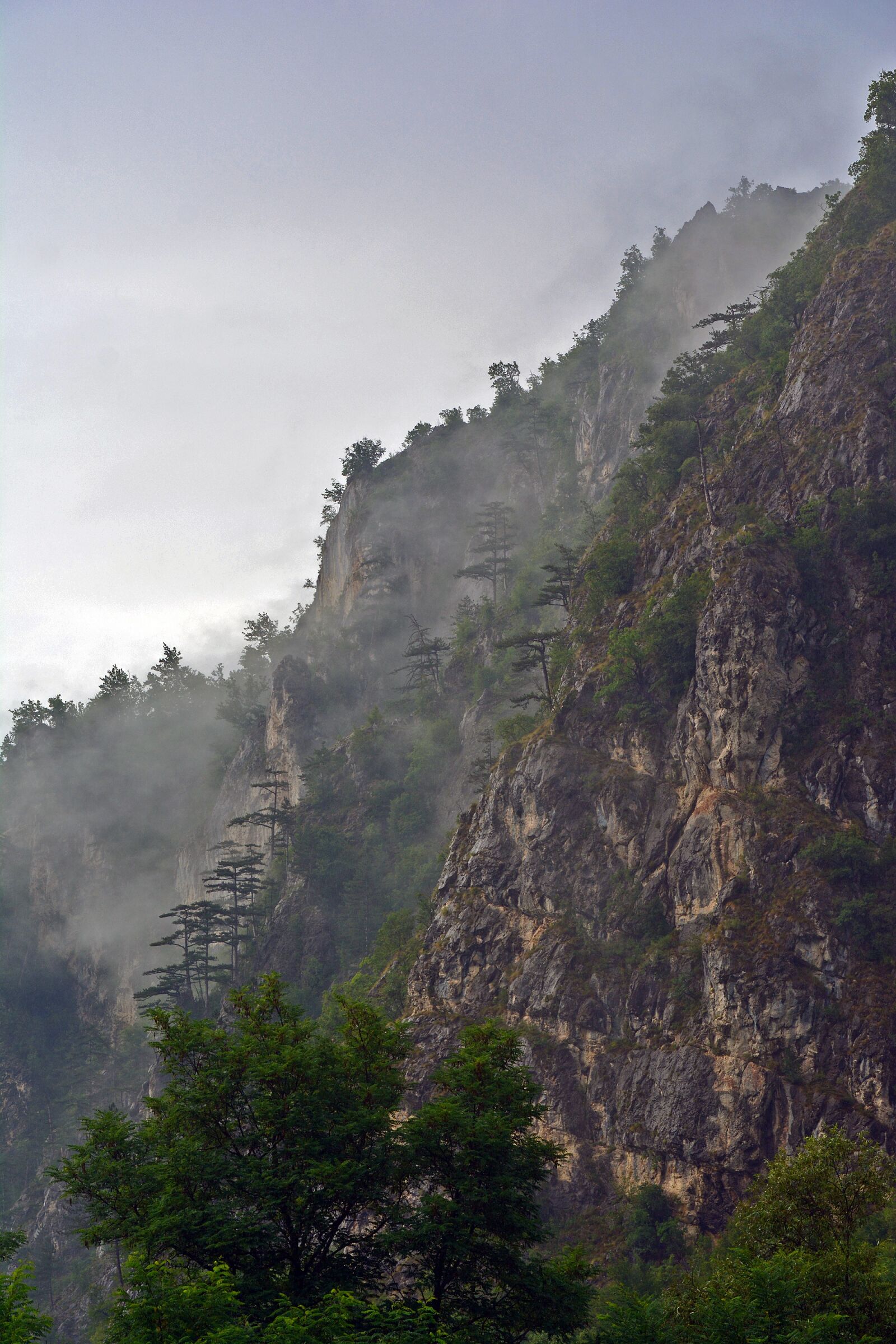 Nikon D5200 sample photo. Rock, trees, landscape photography