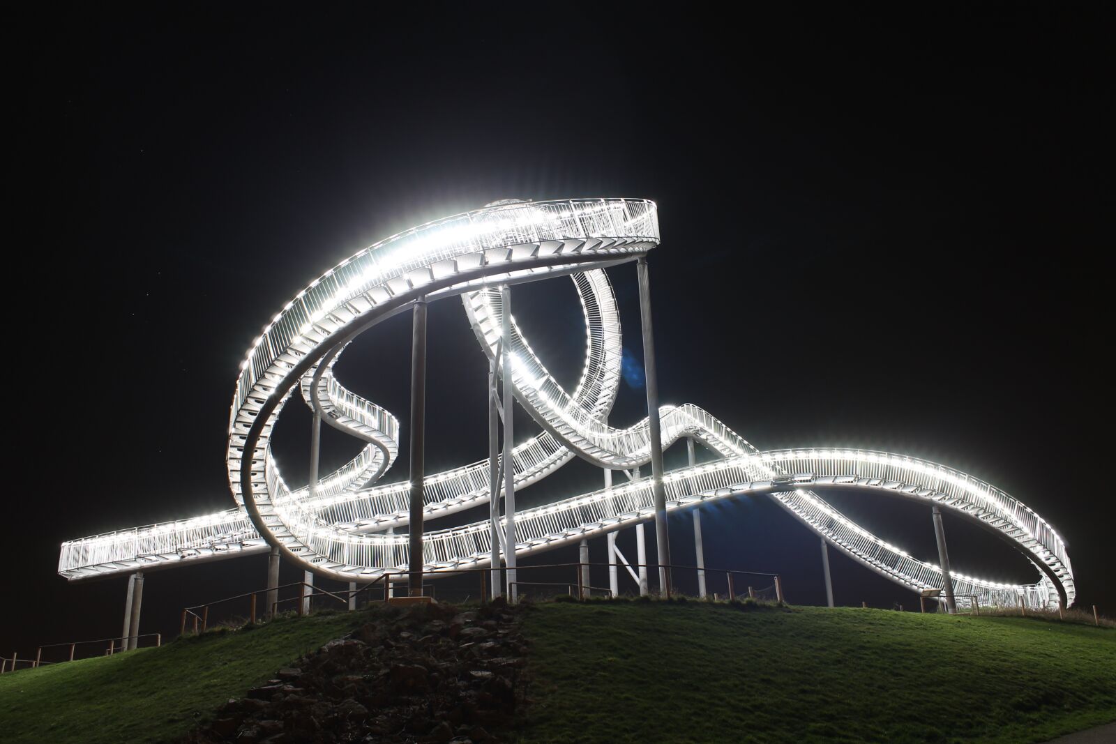 Canon EOS 1100D (EOS Rebel T3 / EOS Kiss X50) sample photo. Tiger and turtle, duisburg photography
