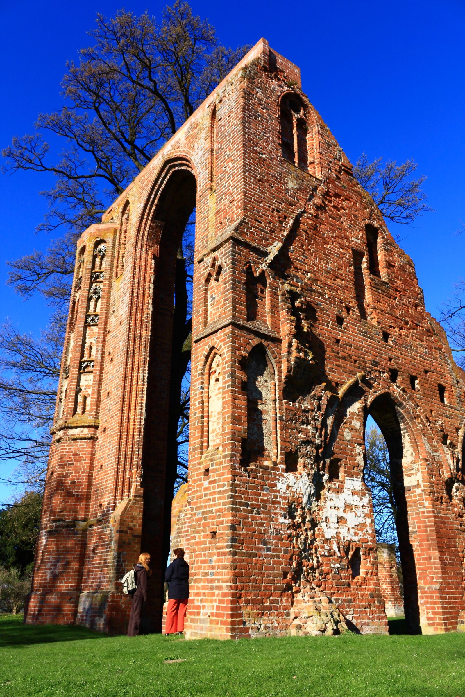 Canon EOS 450D (EOS Rebel XSi / EOS Kiss X2) sample photo. Eldena, greifswald, monastery ruins photography