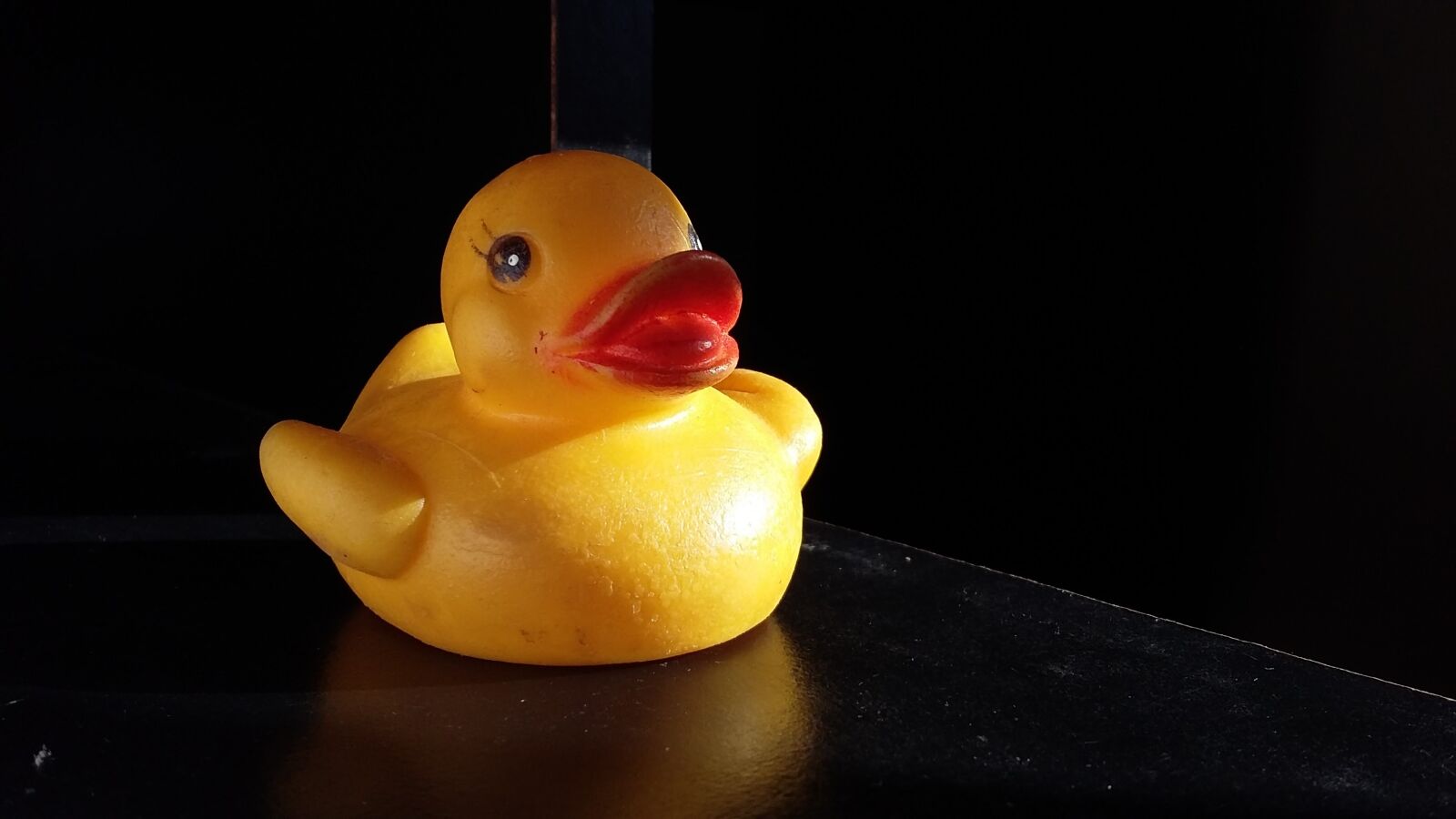 Samsung Galaxy Grand Prime sample photo. Duck, dramatic, shadow photography