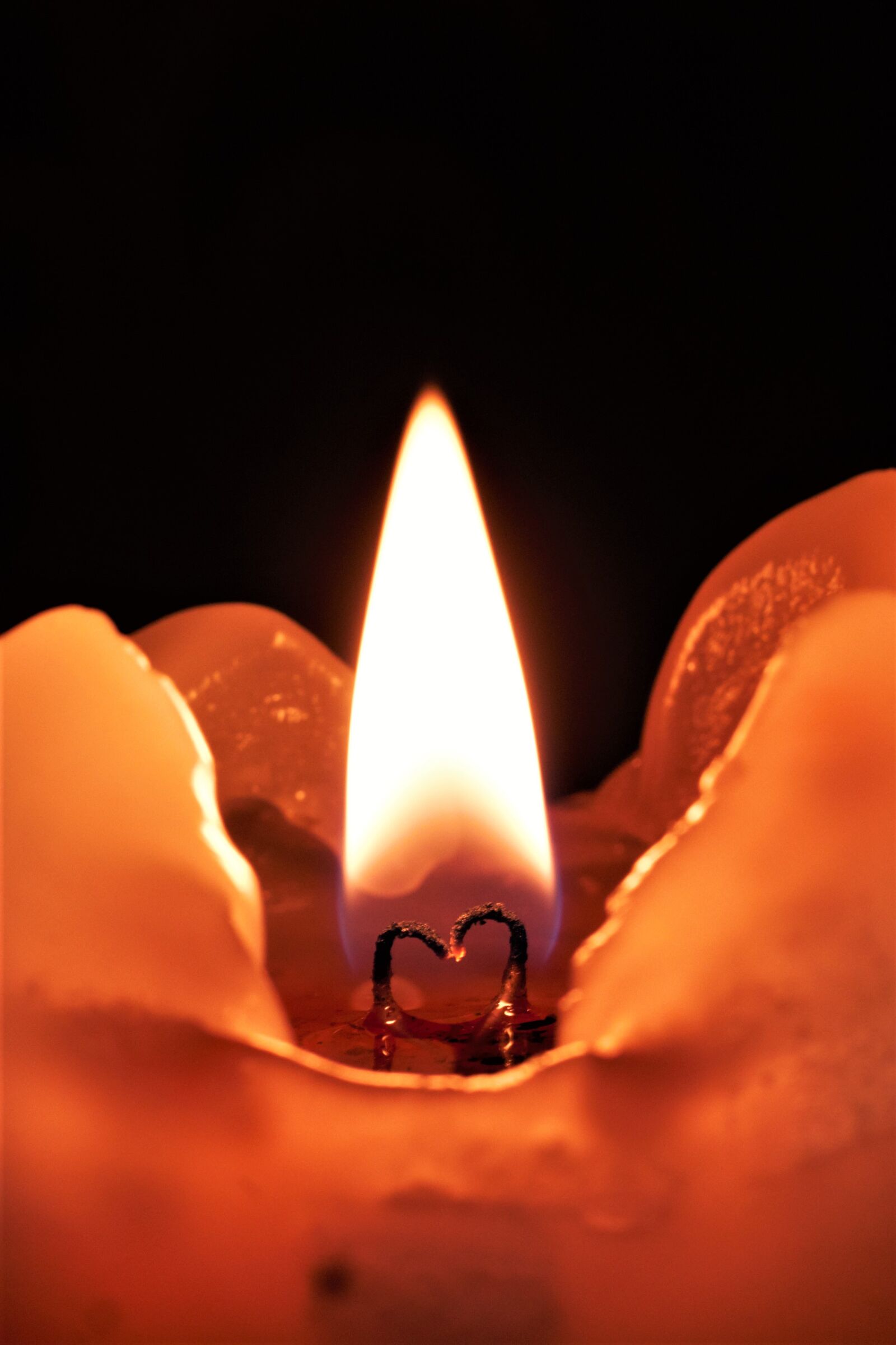Canon EOS 550D (EOS Rebel T2i / EOS Kiss X4) sample photo. Flame, candle, love photography