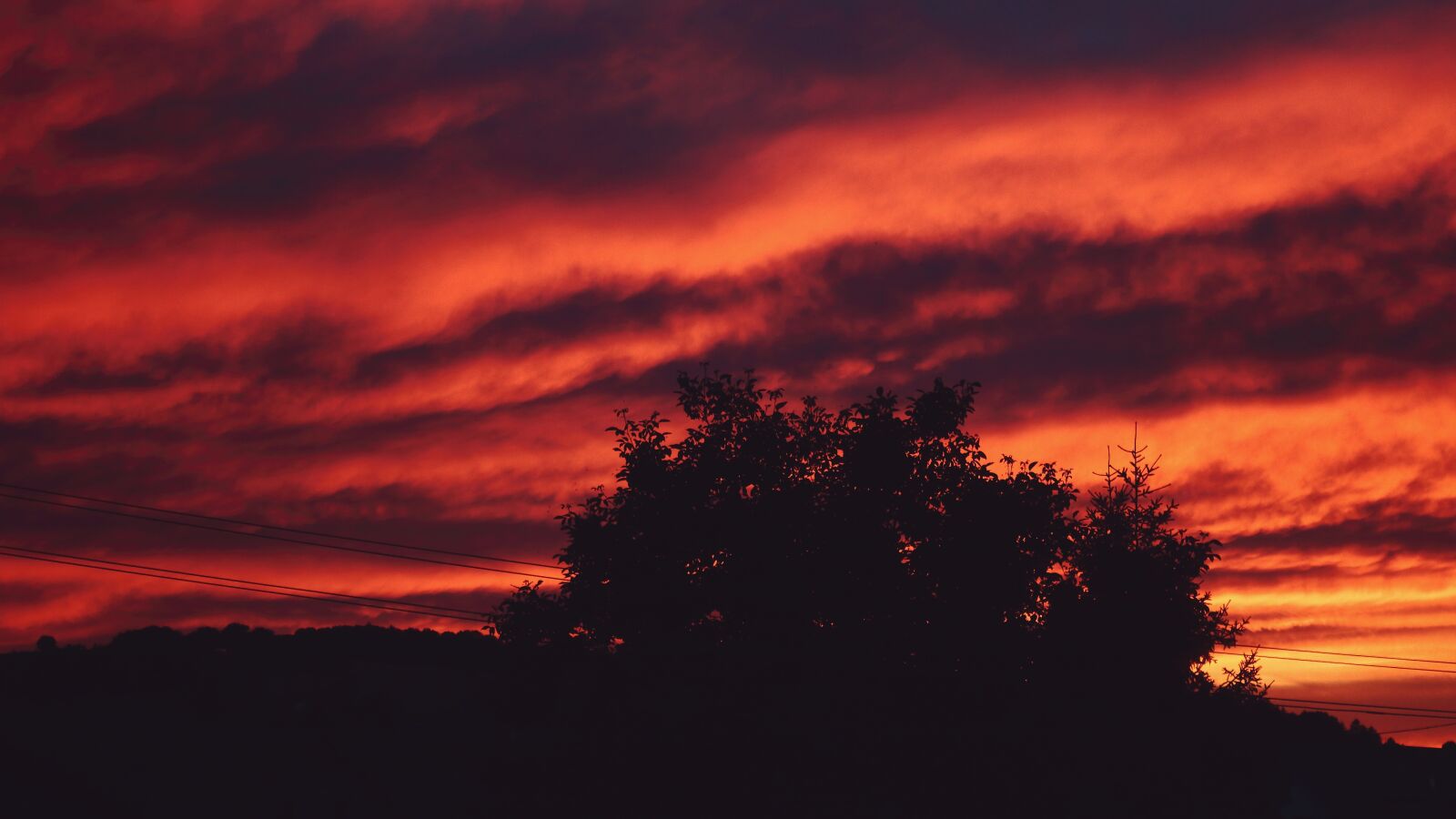 Canon EOS 1300D (EOS Rebel T6 / EOS Kiss X80) sample photo. Sky, red, tree photography