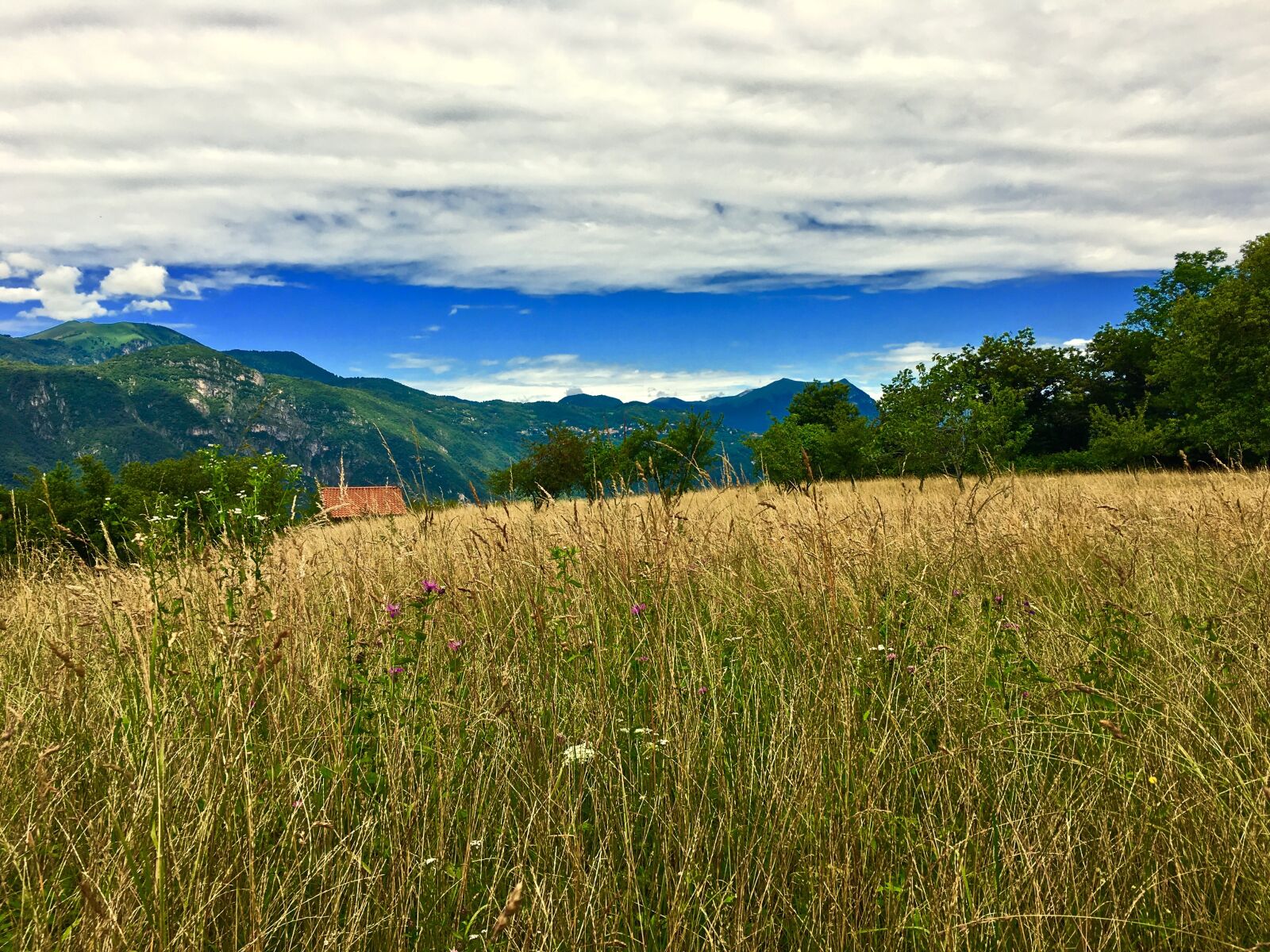 Apple iPhone 6s sample photo. Lecco, meadows, mountain photography