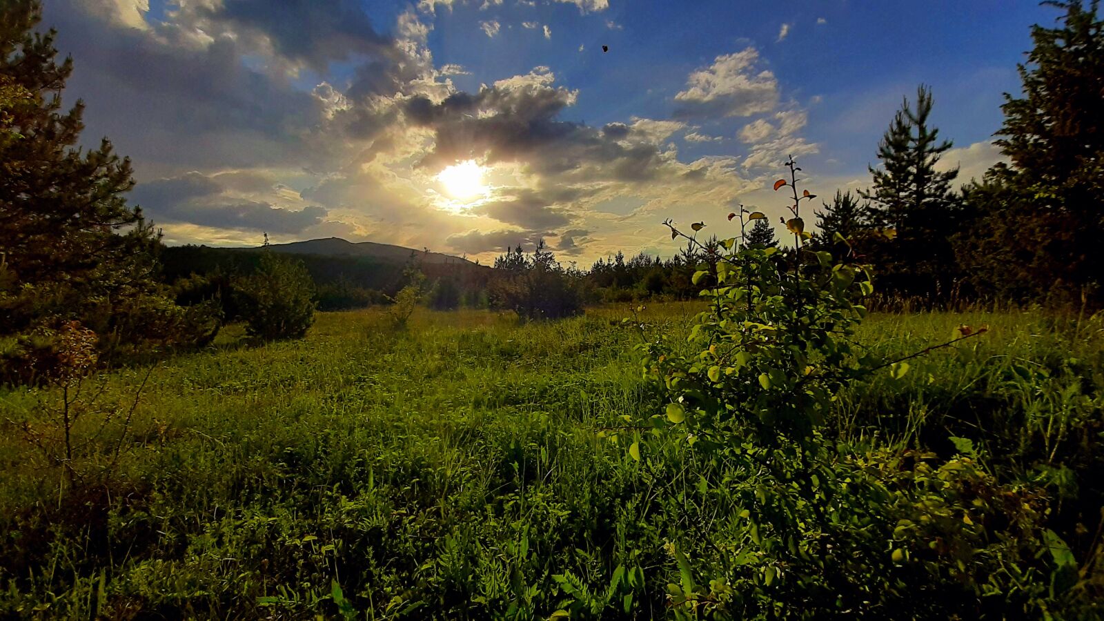 Samsung Galaxy A50 sample photo. Bulgaria, nature, sun photography