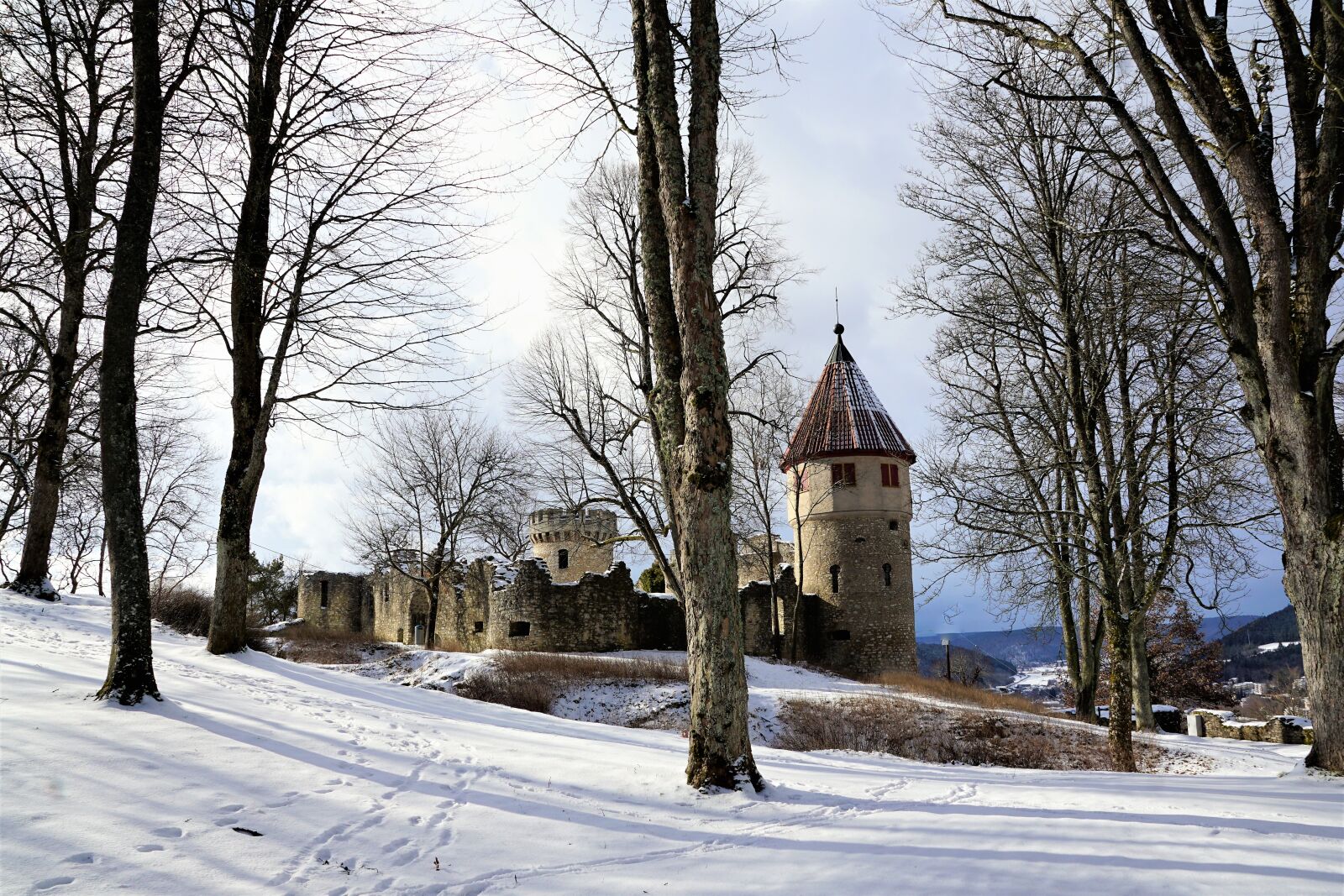 Sony ILCA-77M2 + Sony DT 16-50mm F2.8 SSM sample photo. Winter, snow, cold photography