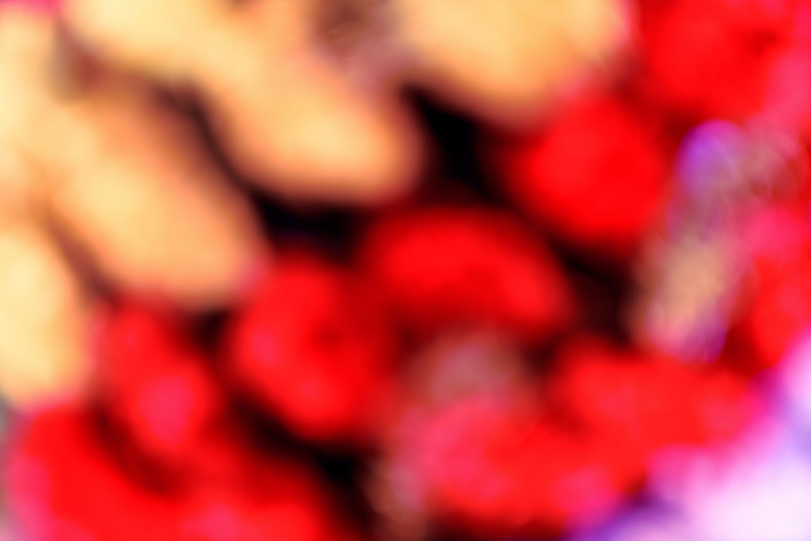 Nikon D3400 sample photo. Blur, background, abstract photography
