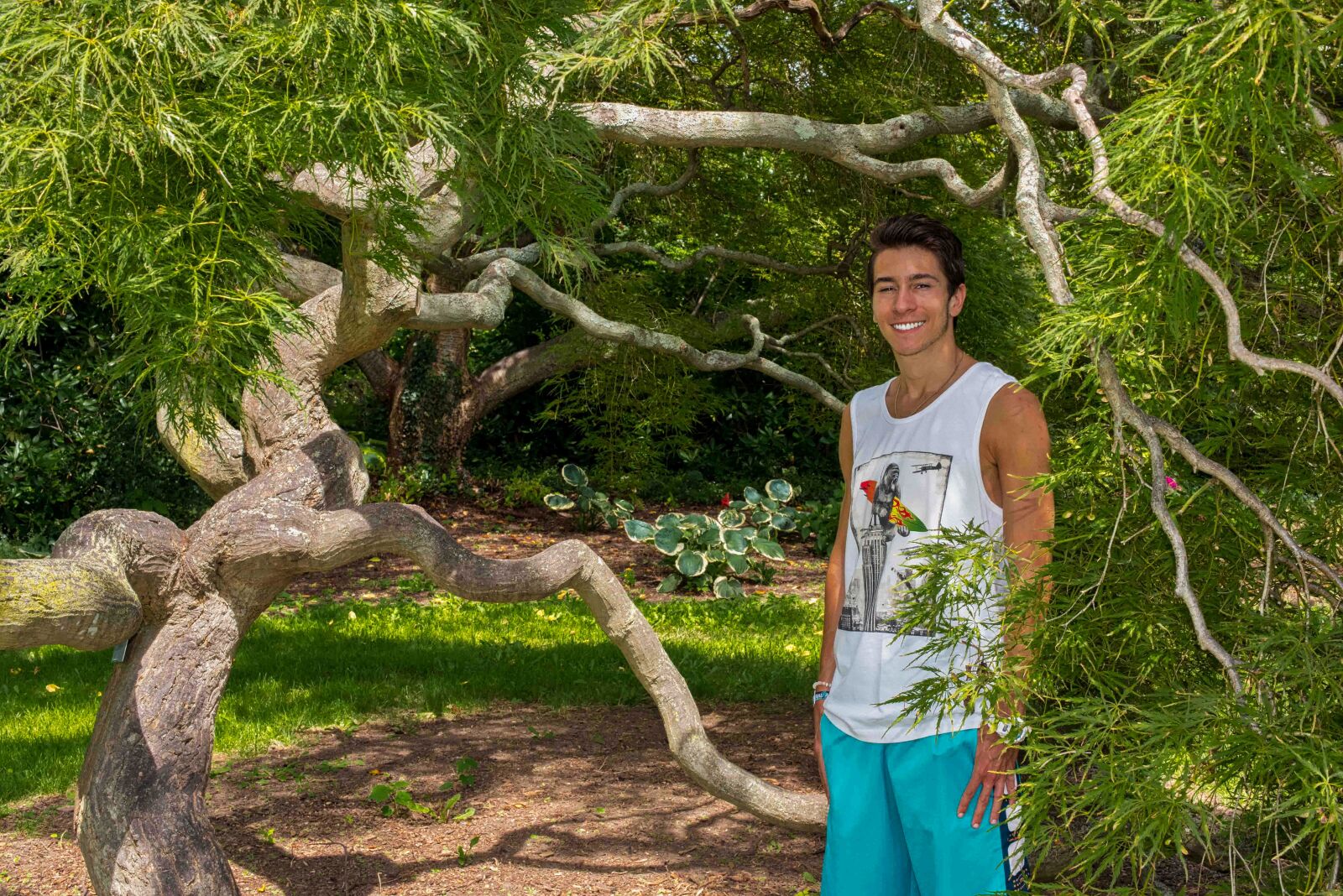 Nikon D750 sample photo. Exotic tree, man, nature photography