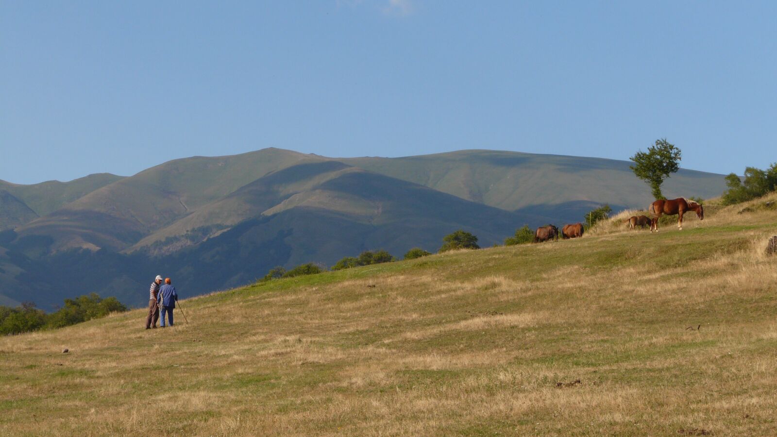 Panasonic DMC-FZ18 sample photo. Mountains, horse, landscape photography