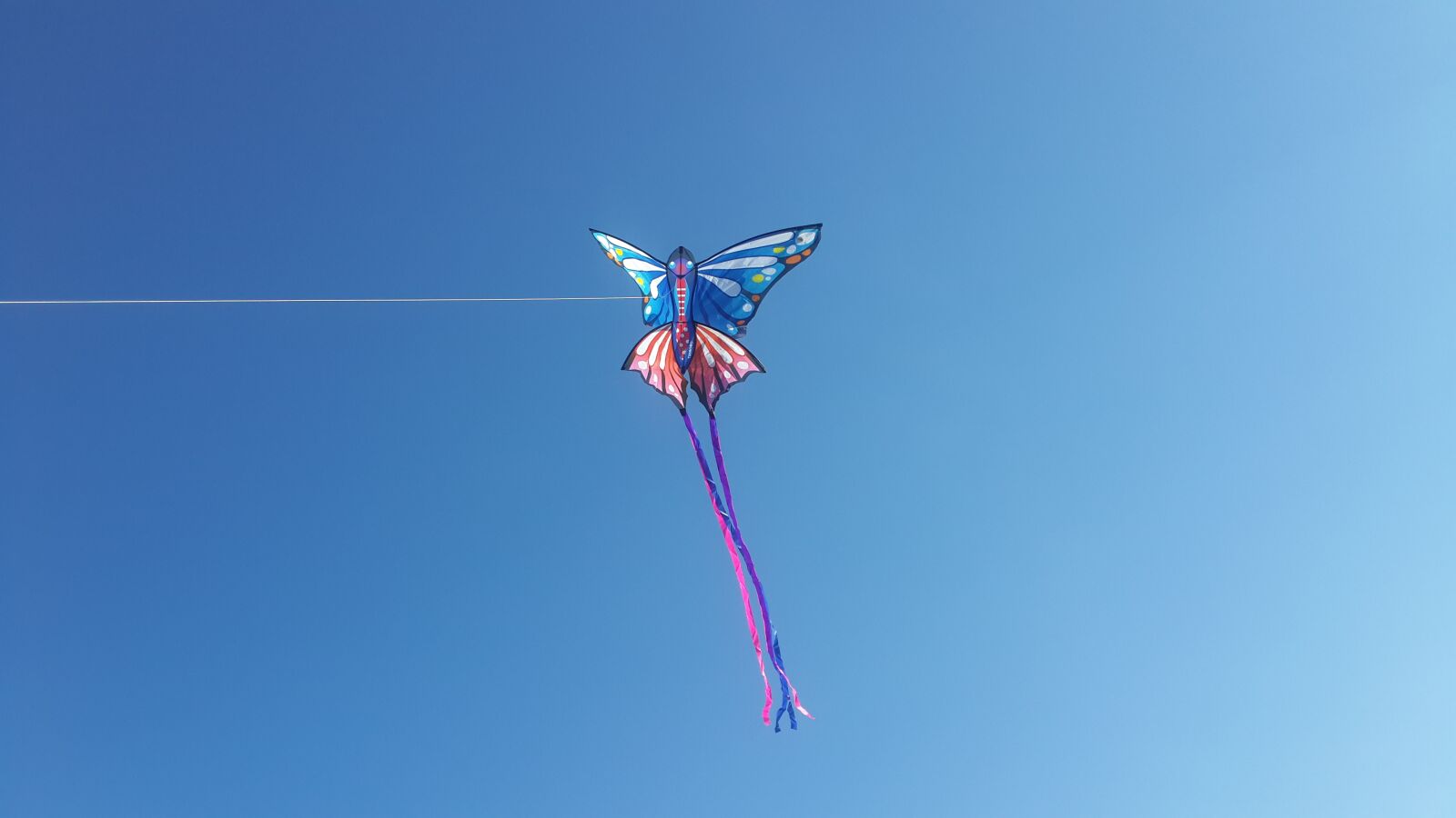 Samsung Galaxy S4 sample photo. Sky, snakes, flight photography