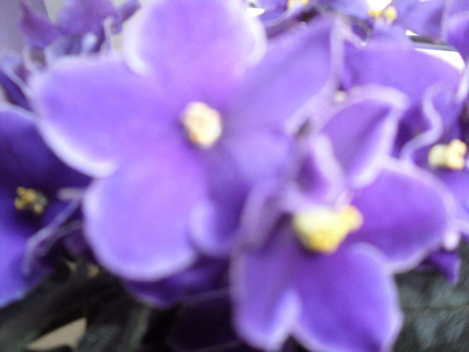 Samsung ES60 / VLUU ES60 /  SL105 /  ES63 sample photo. Blue, violet, african photography